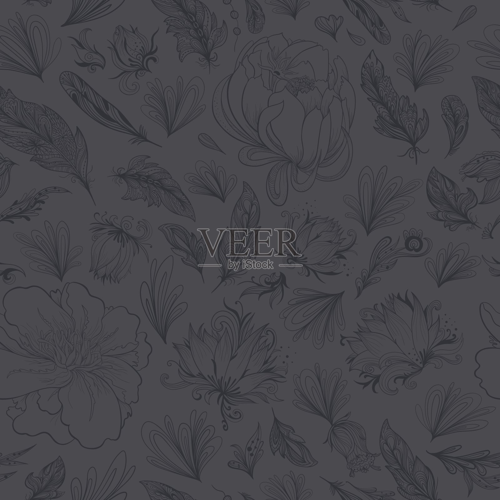 波西米亚风格矢量羽毛和花朵图案插画图片素材