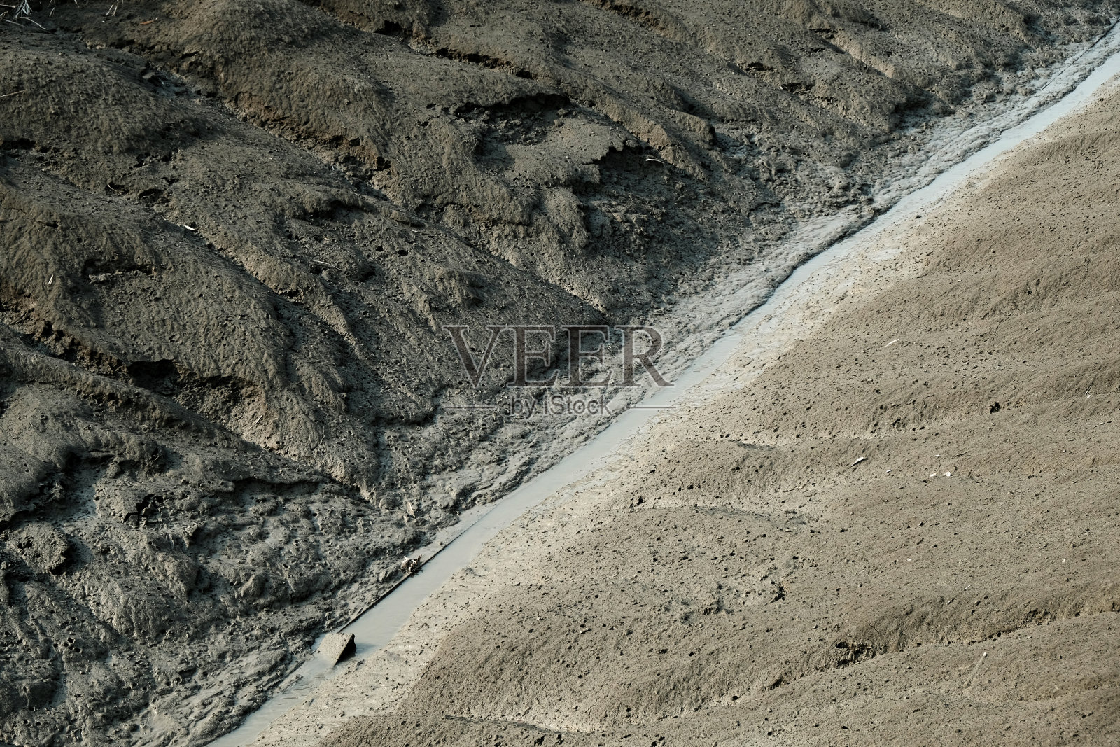 生态公园照片摄影图片