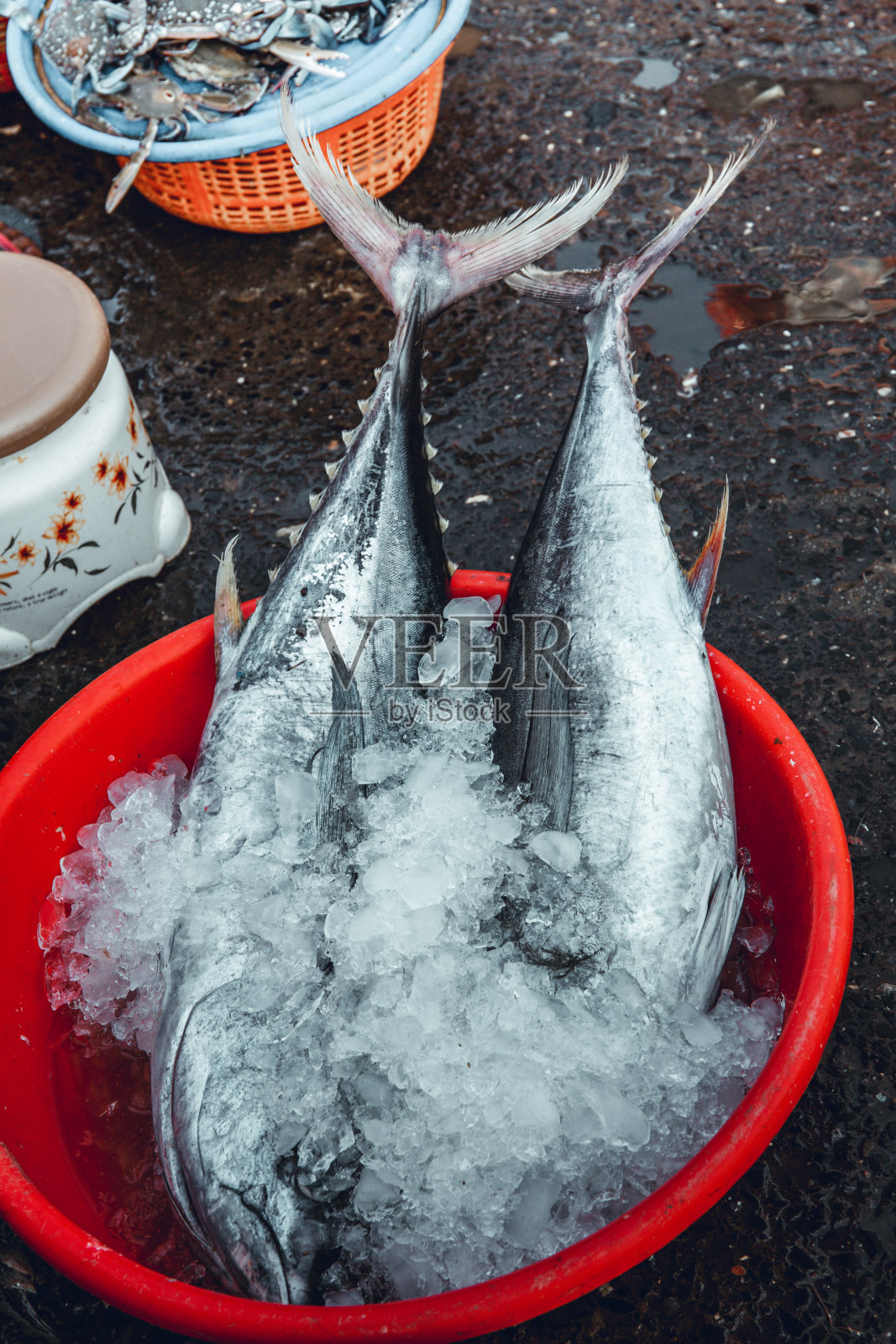 孟买的鱼市照片摄影图片