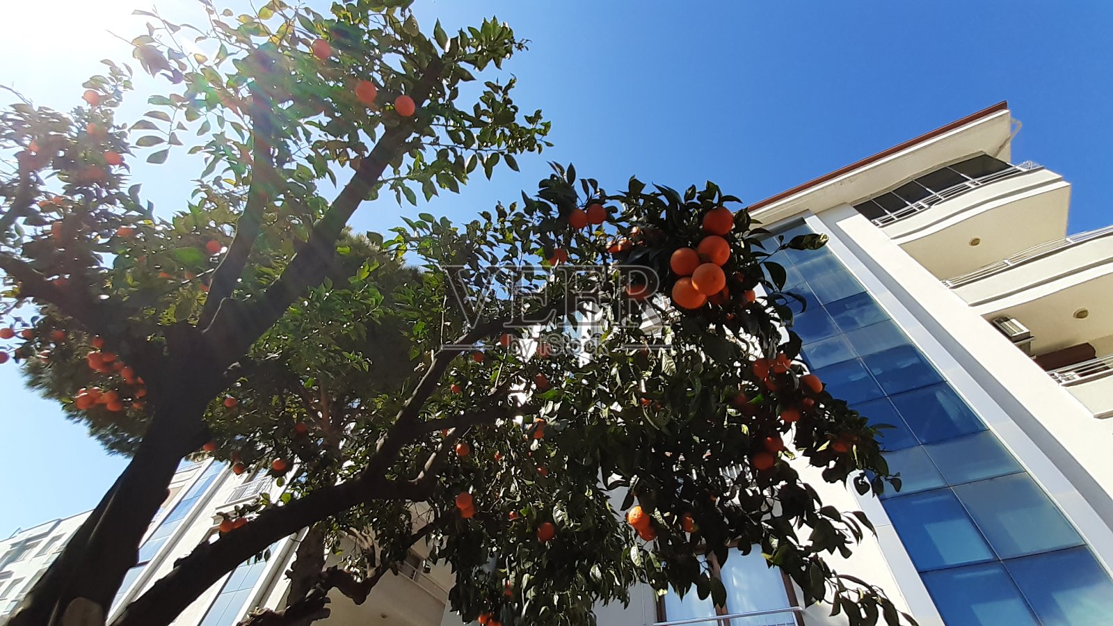 土耳其美食，甜点，香料和坚果照片摄影图片