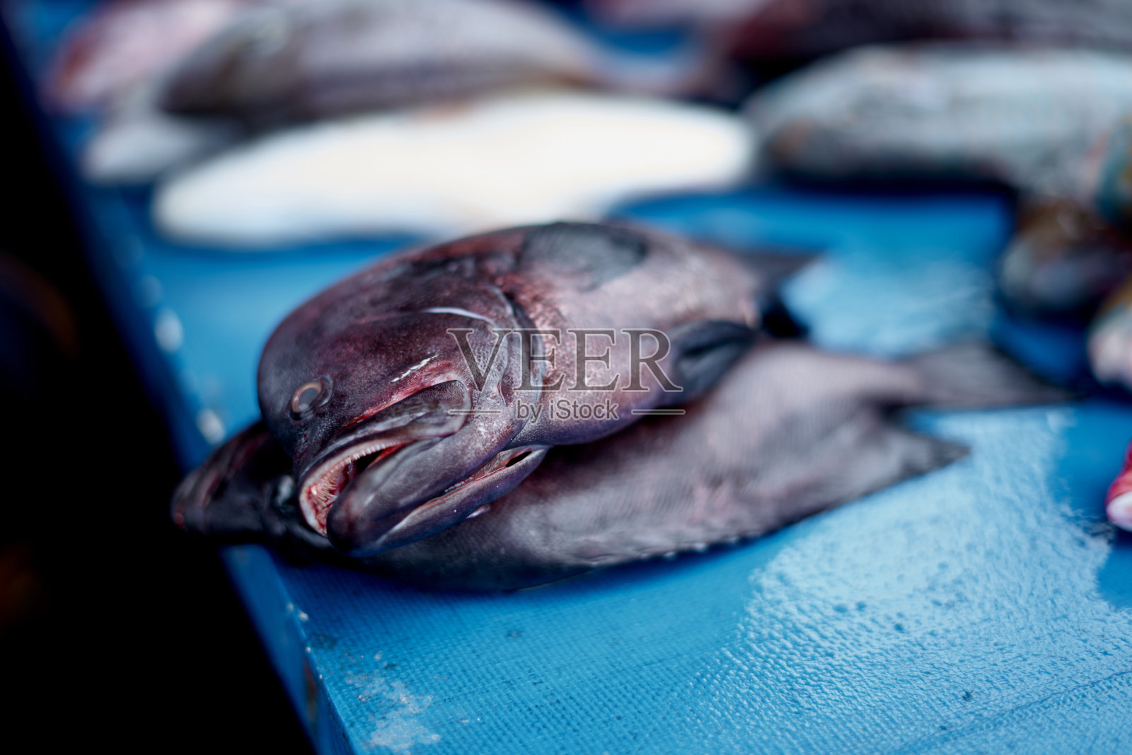 一堆鲜鱼在本地海鲜市场出售照片摄影图片