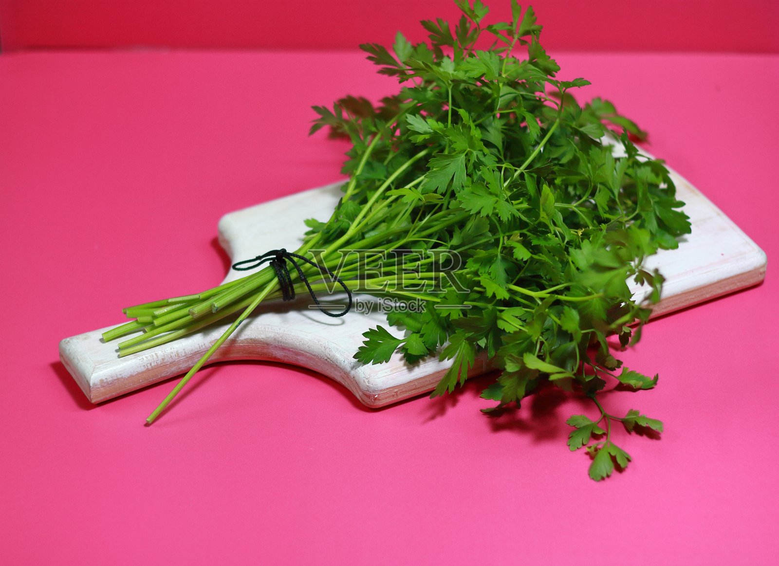 欧芹(Petroselinum crispum)是原产于地中海东部的植物照片摄影图片