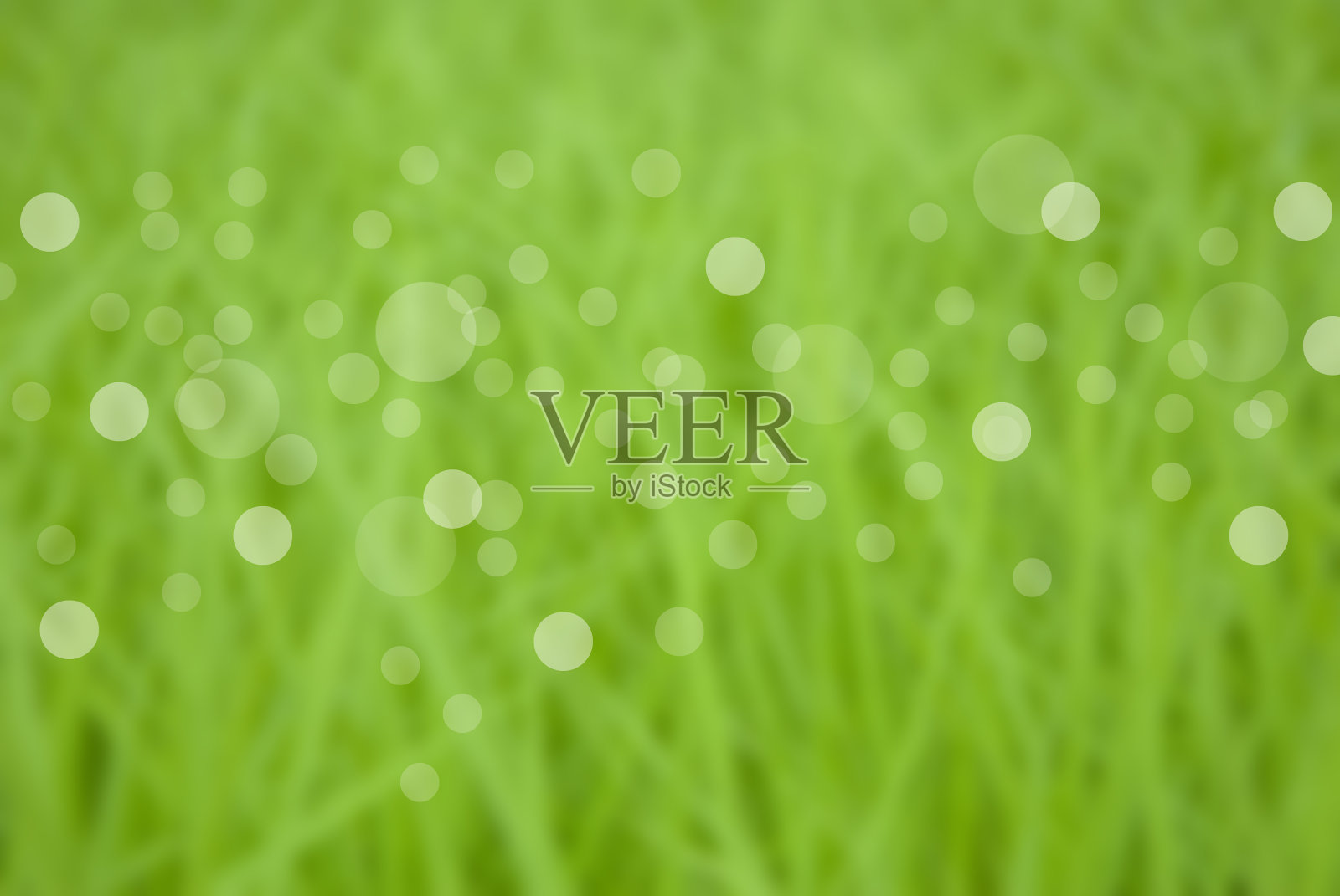 散焦水稻幼苗和自然背景的照片与散焦光。照片摄影图片