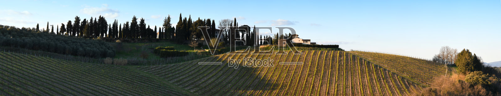 在春季日落时，基安蒂地区成行的葡萄藤全景。佛罗伦萨,意大利。照片摄影图片