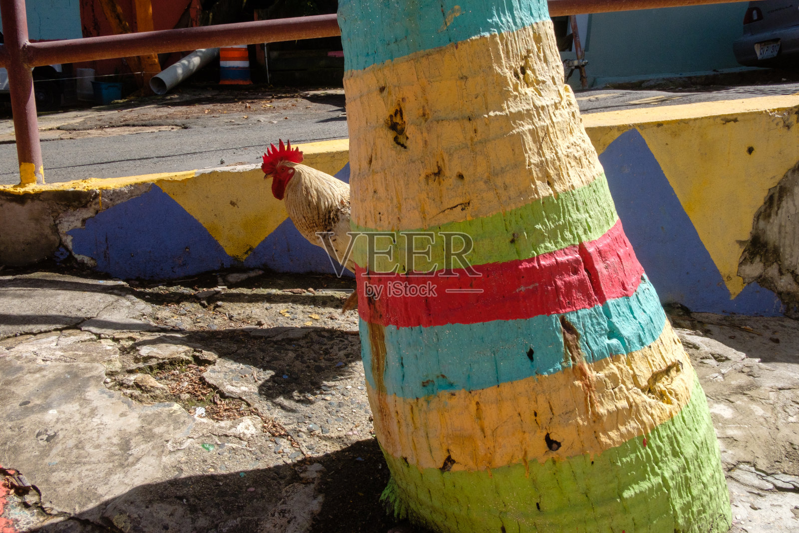 圣胡安·拉·佩拉色和卢斯·佩拉色和公鸡色照片摄影图片