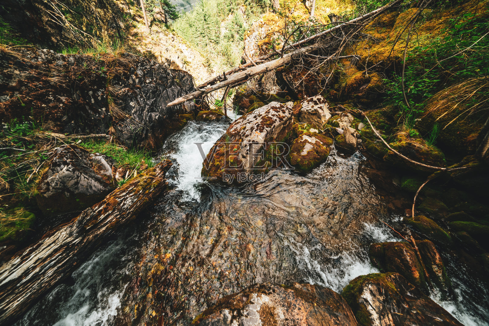 自然照片摄影图片