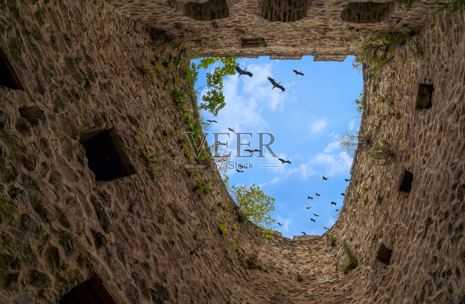 鸟瞰在齐尔羽衣甘蓝墙之间飞过，Camlihemsin, Rize照片摄影图片