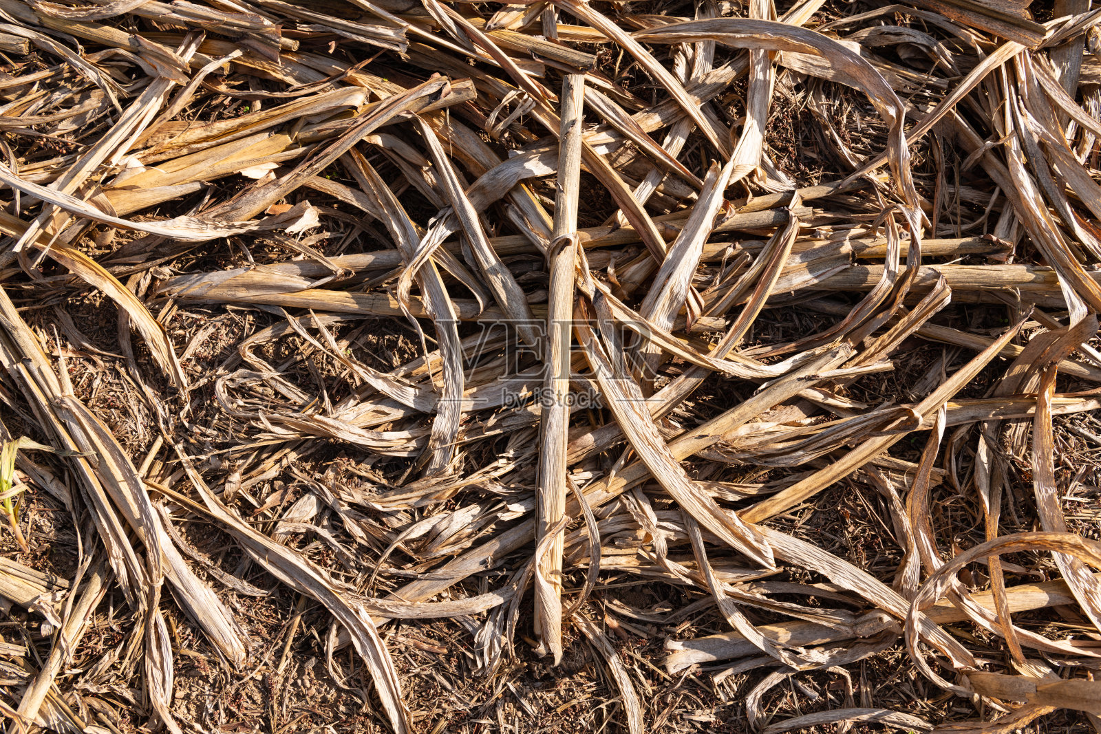 收获后的废料背景纹理照片摄影图片