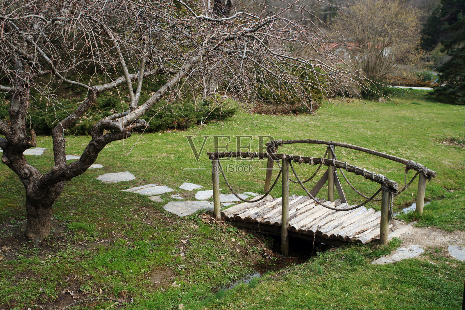 原始手工木桥照片摄影图片