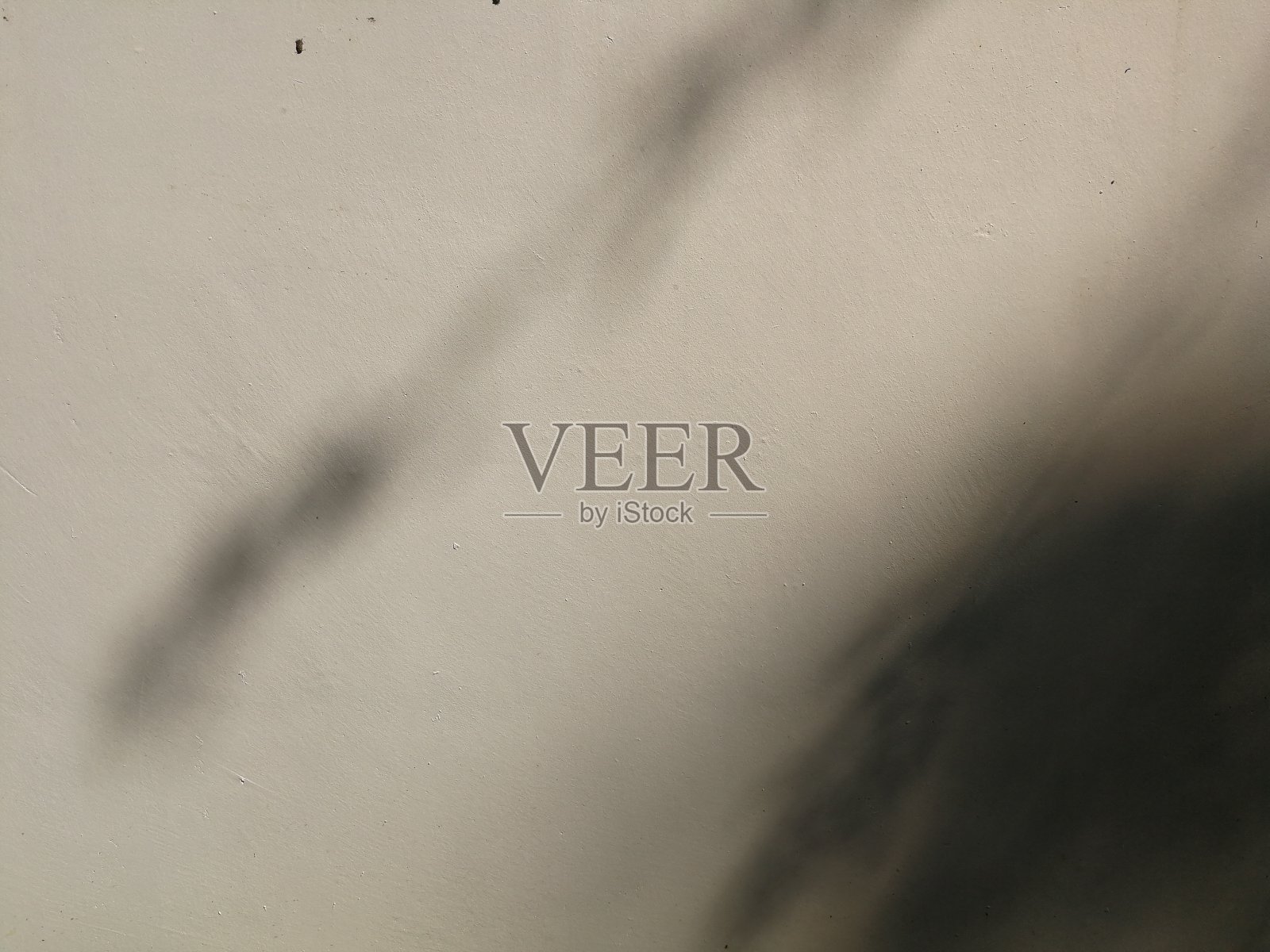 背景墙上的树影照片摄影图片