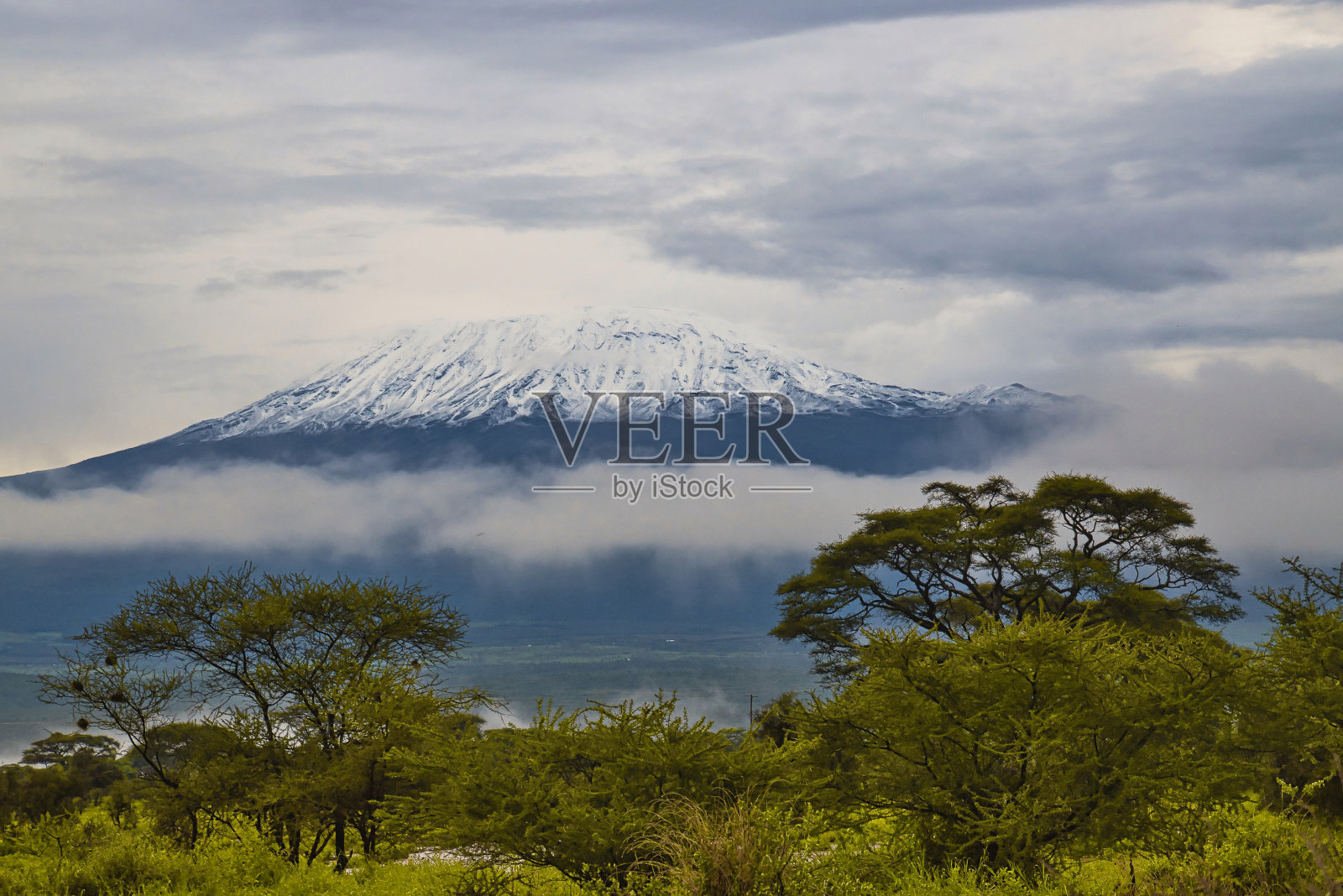 国家公园、察沃东、察沃西和安博塞利的风景照片摄影图片