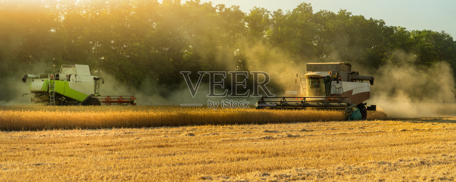 联合收割机收割小麦照片摄影图片