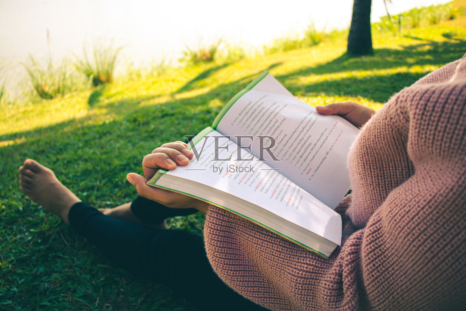 女人在静谧的大自然中读书，在假期里观书。照片摄影图片