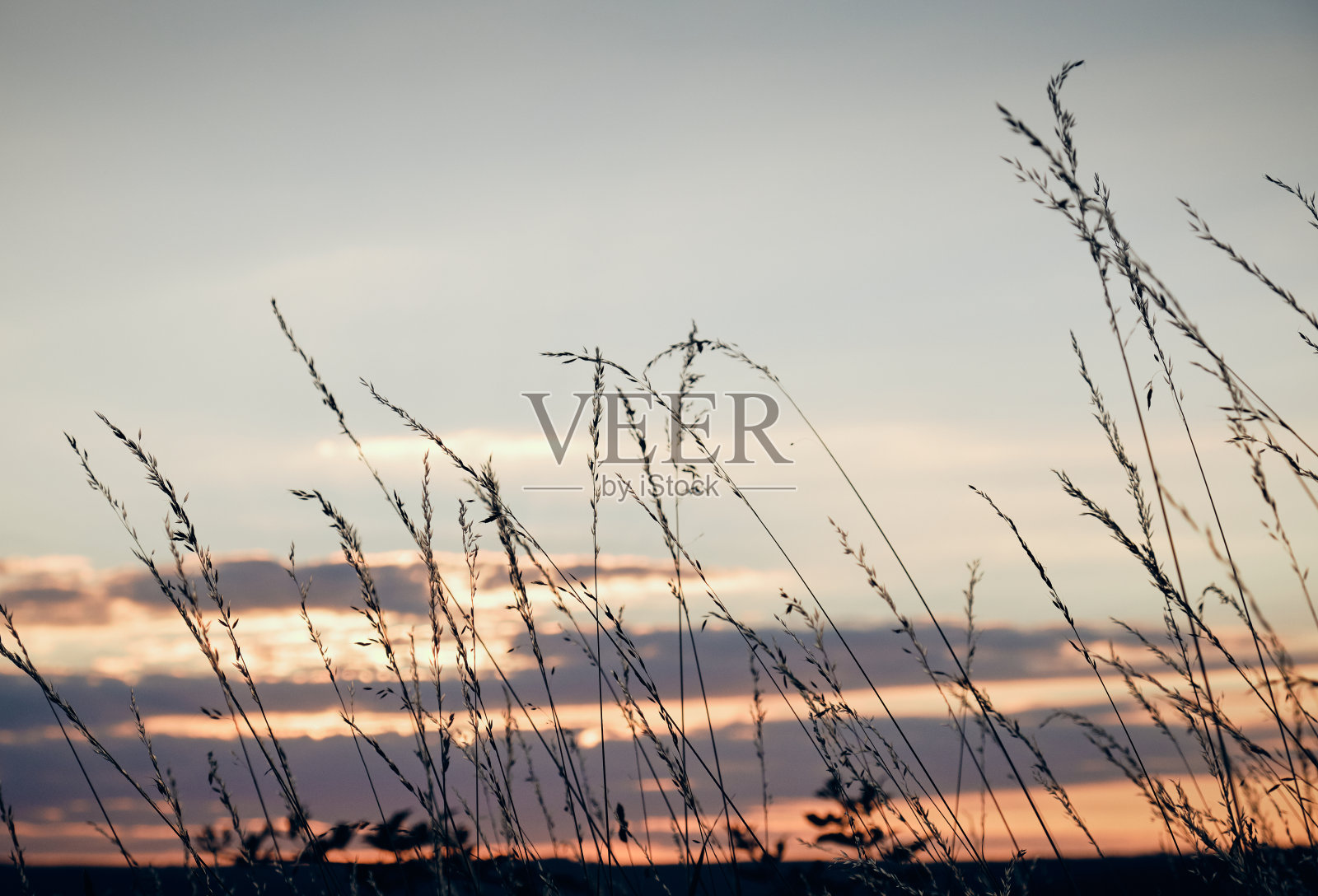 草叶与云彩映衬着日落的天空照片摄影图片