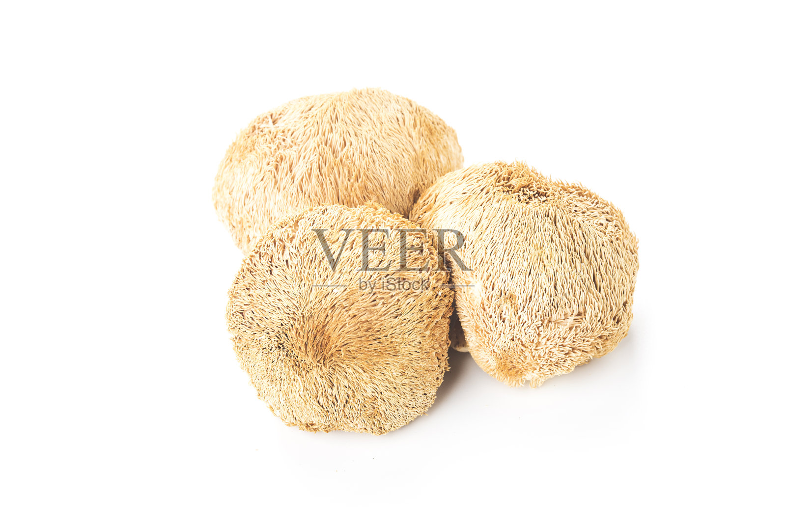 白色背景上的新鲜猴头照片摄影图片