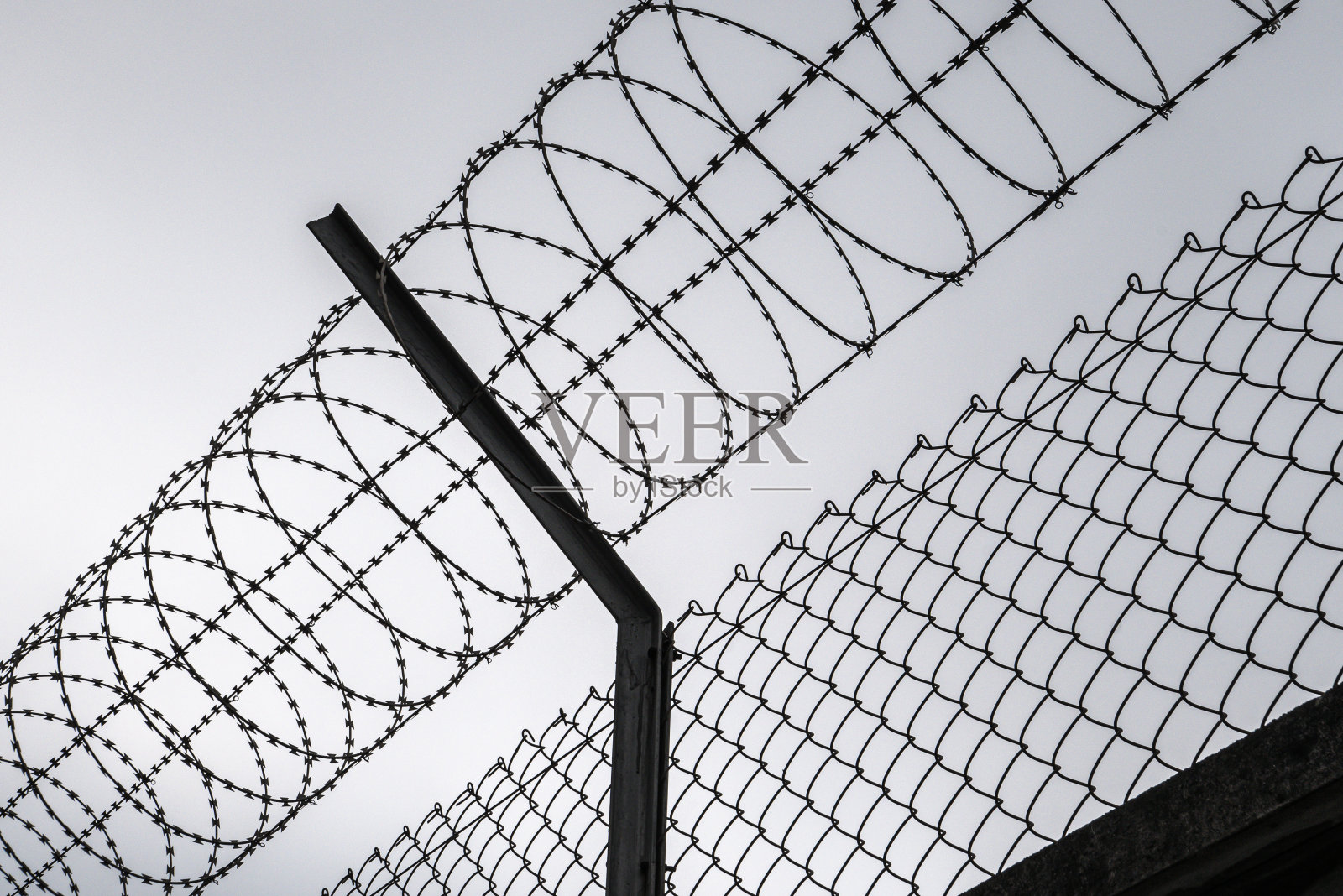 铁丝网照片摄影图片