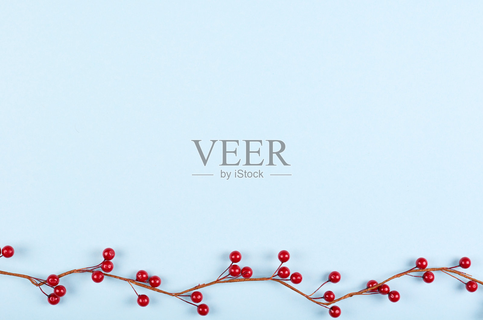 红浆果组成。照片摄影图片