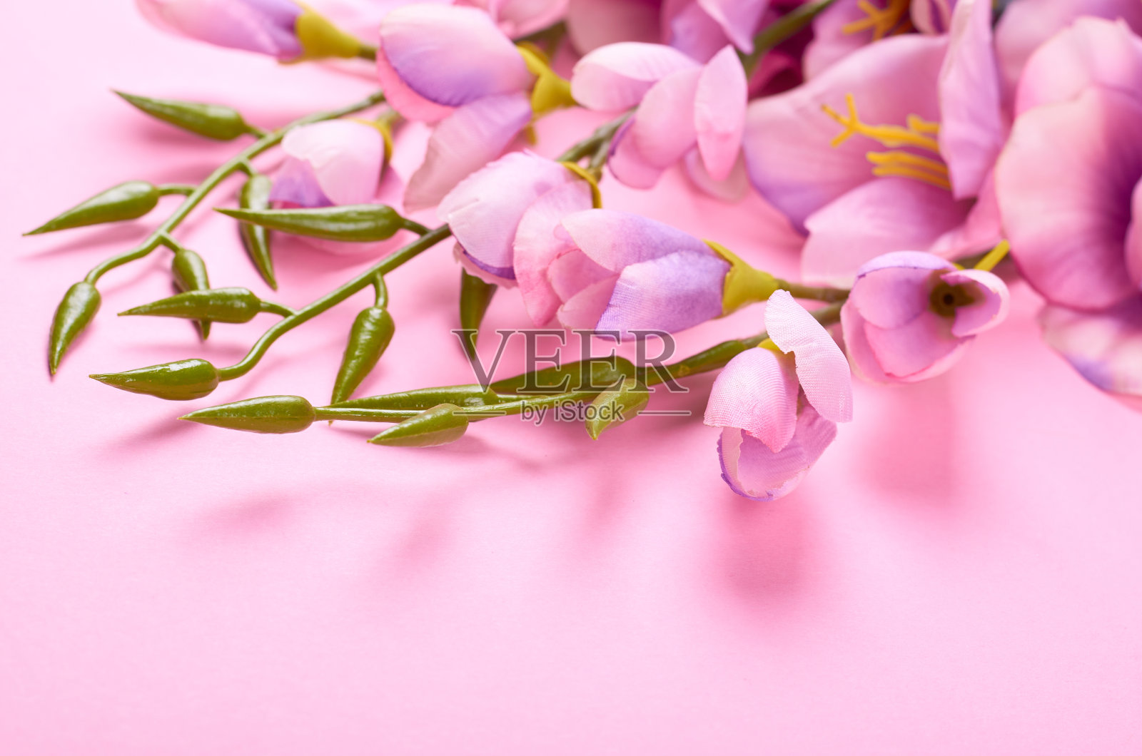 装饰花在粉红色的背景组成。照片摄影图片