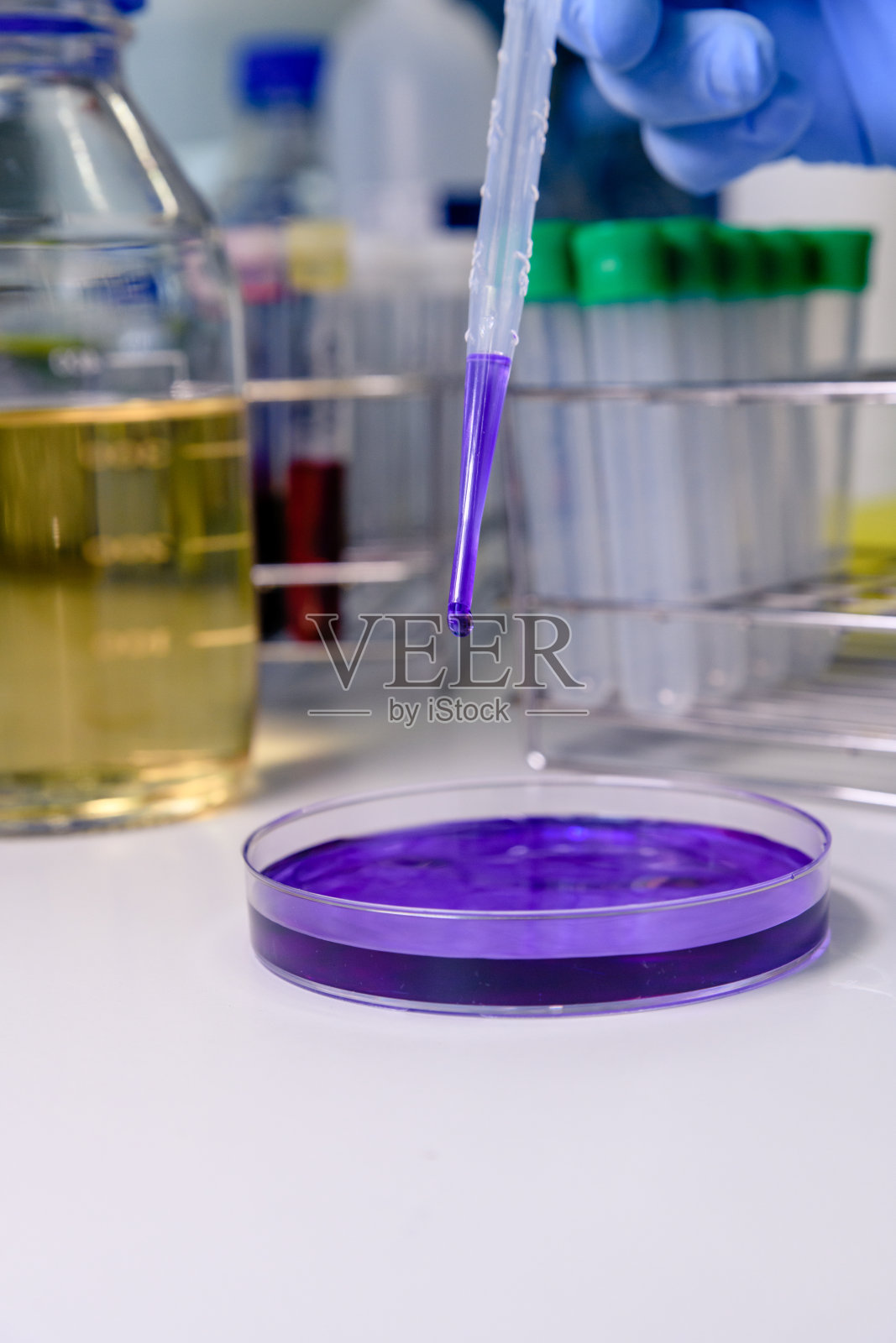 带滴色液的移液管和培养皿。科学、实验室和疾病研究的概念。照片摄影图片