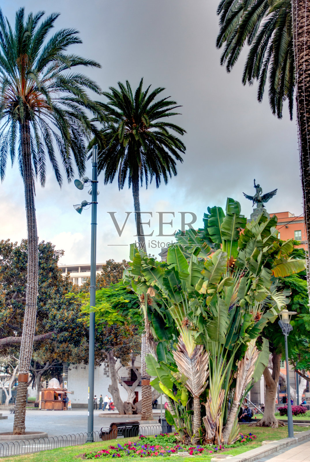 拉斯帕尔马斯德格兰卡纳利亚，历史中心照片摄影图片