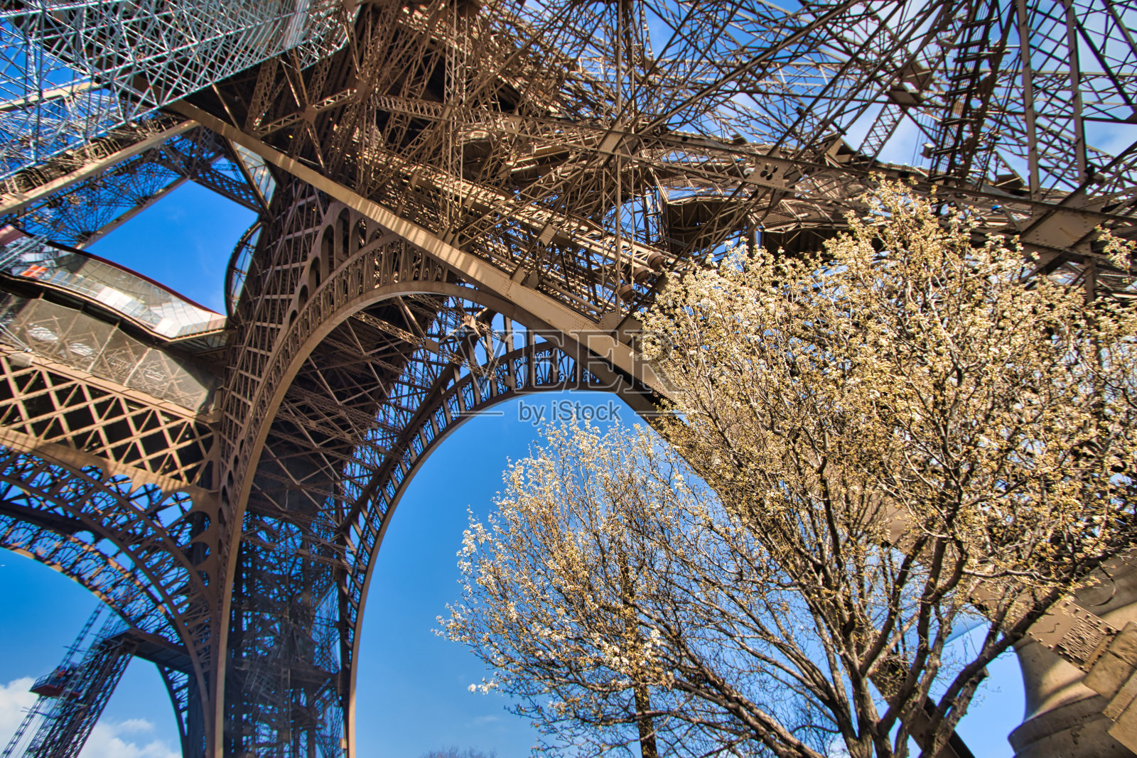 巴黎的埃菲尔铁塔照片摄影图片