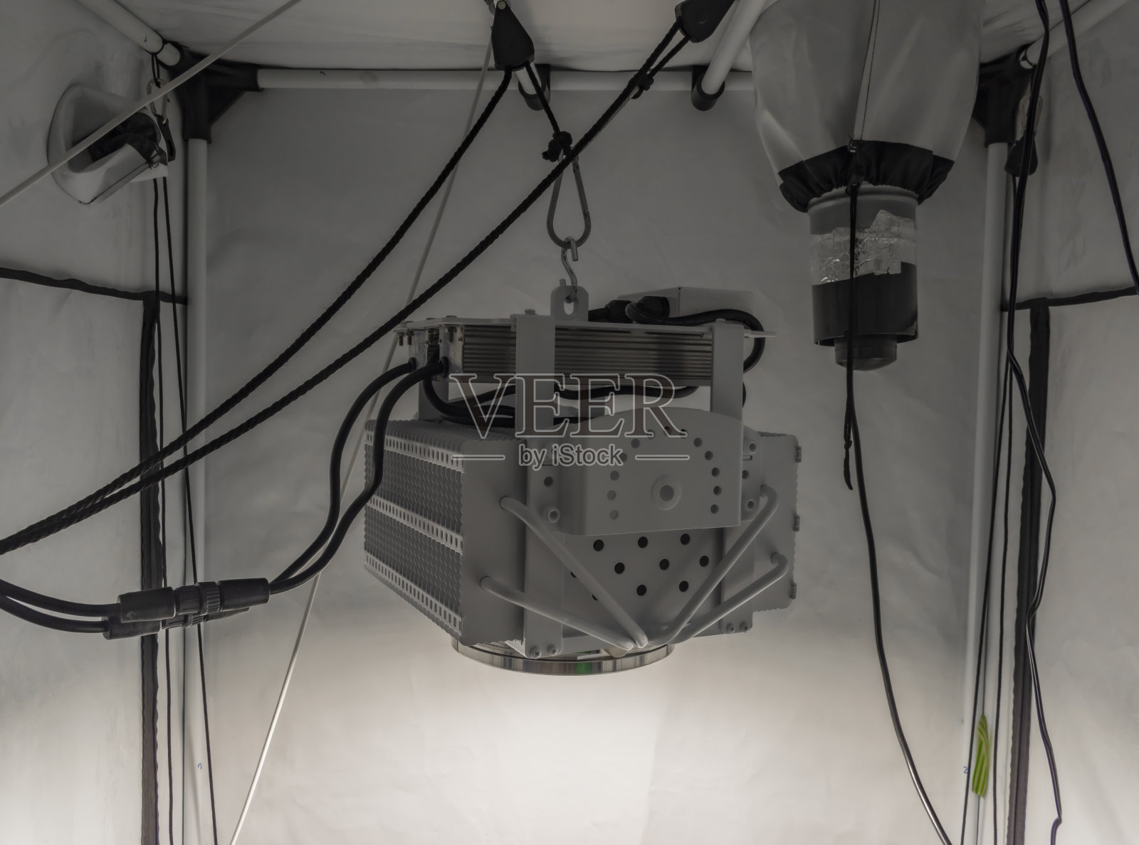 LED大灯下的竹笋网兜里有大麻的小花照片摄影图片