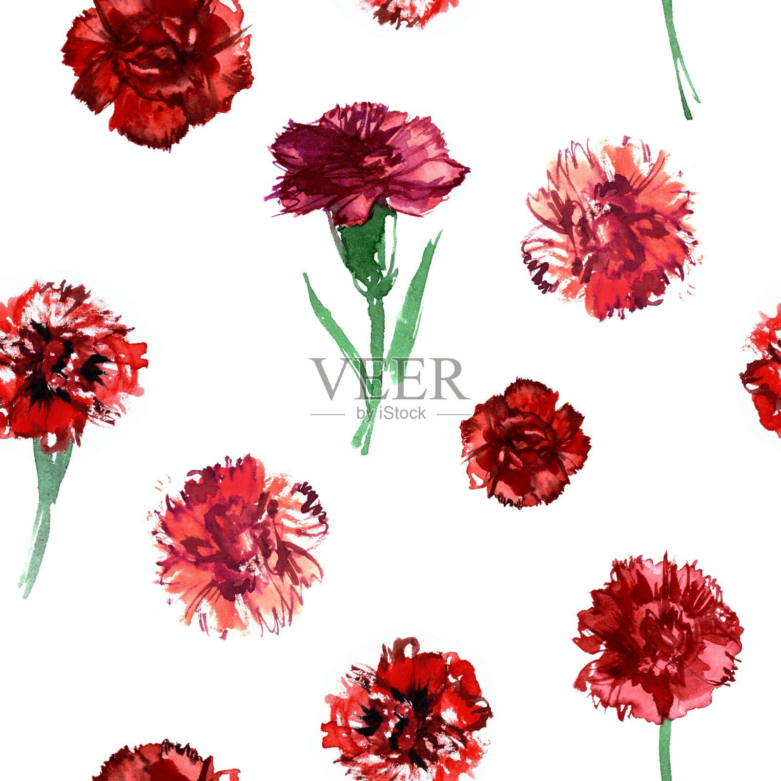 无缝花卉图案与康乃馨插画图片素材
