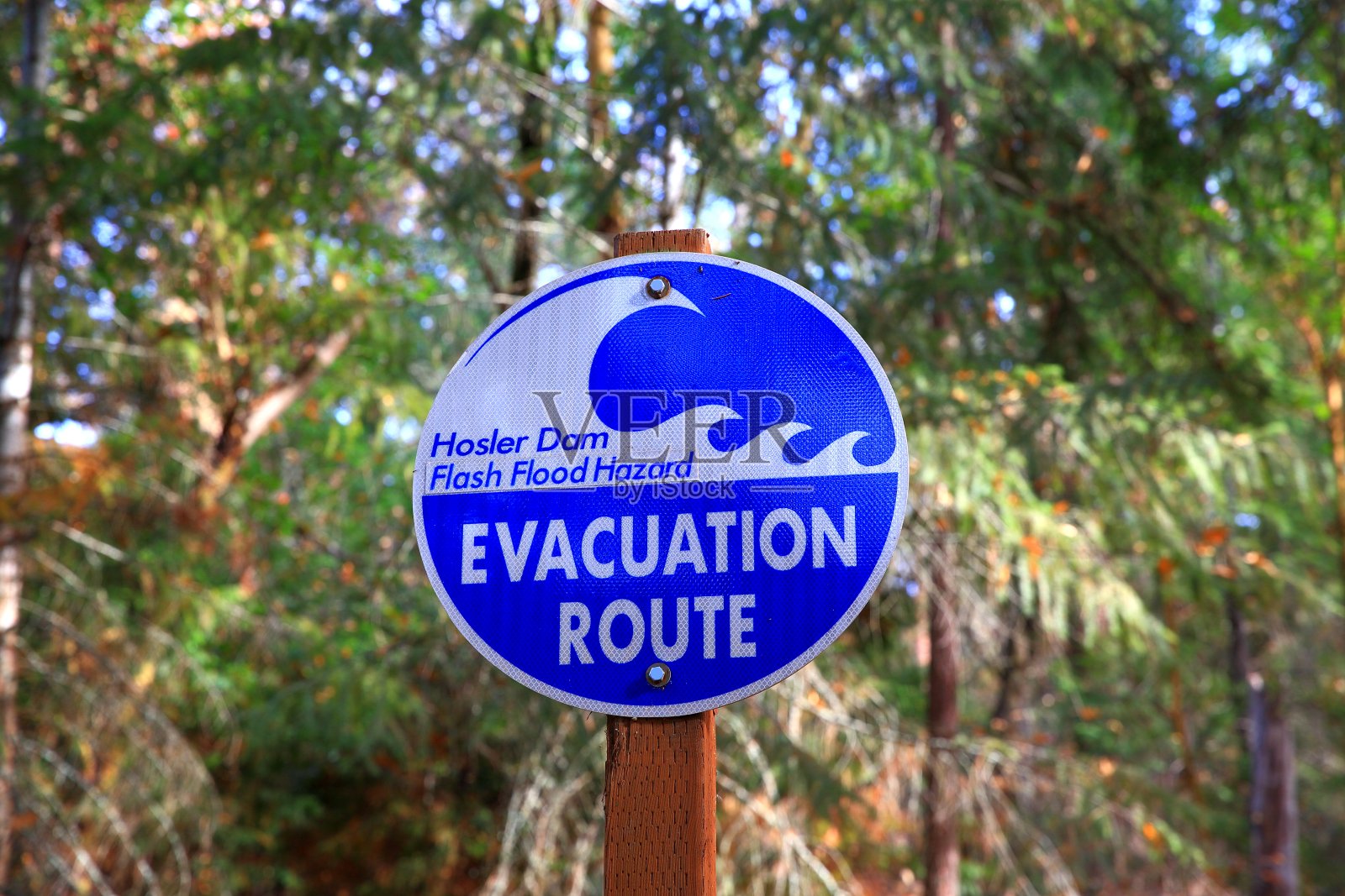 美国俄勒冈州利西亚公园的疏散路线标志照片摄影图片