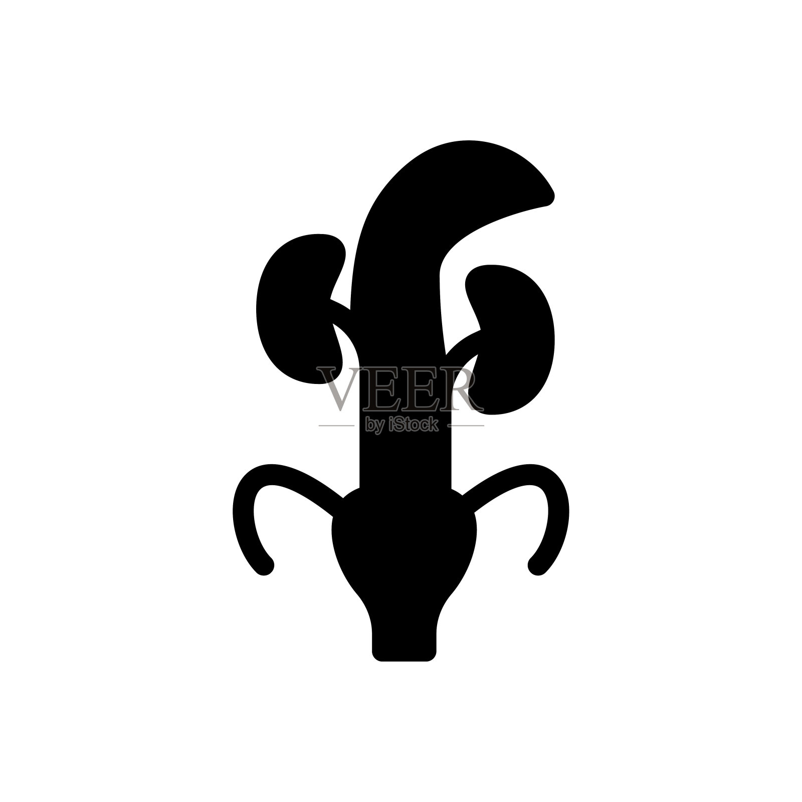 输尿管插画图片素材