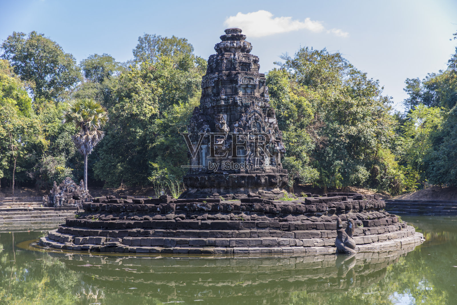 果肩凯旋歌照片摄影图片