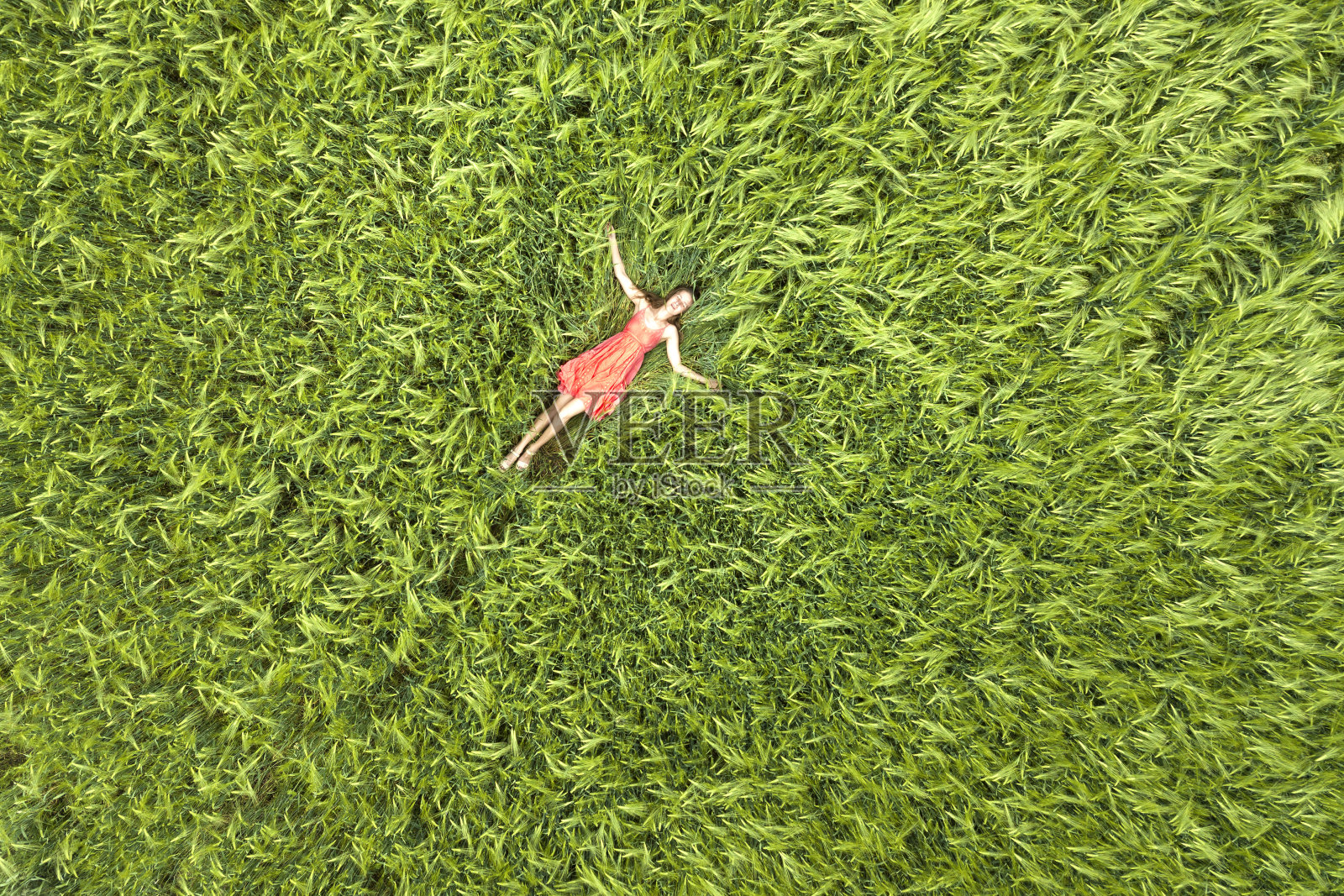 年轻苗条女子身穿红裙躺在绿色麦田闭眼俯视图照片摄影图片