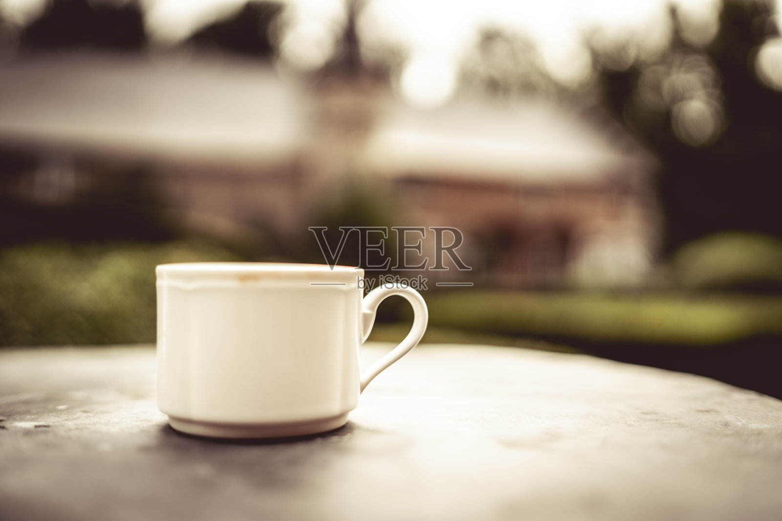 隐藏在树木中的城堡的花园和建筑细节照片摄影图片