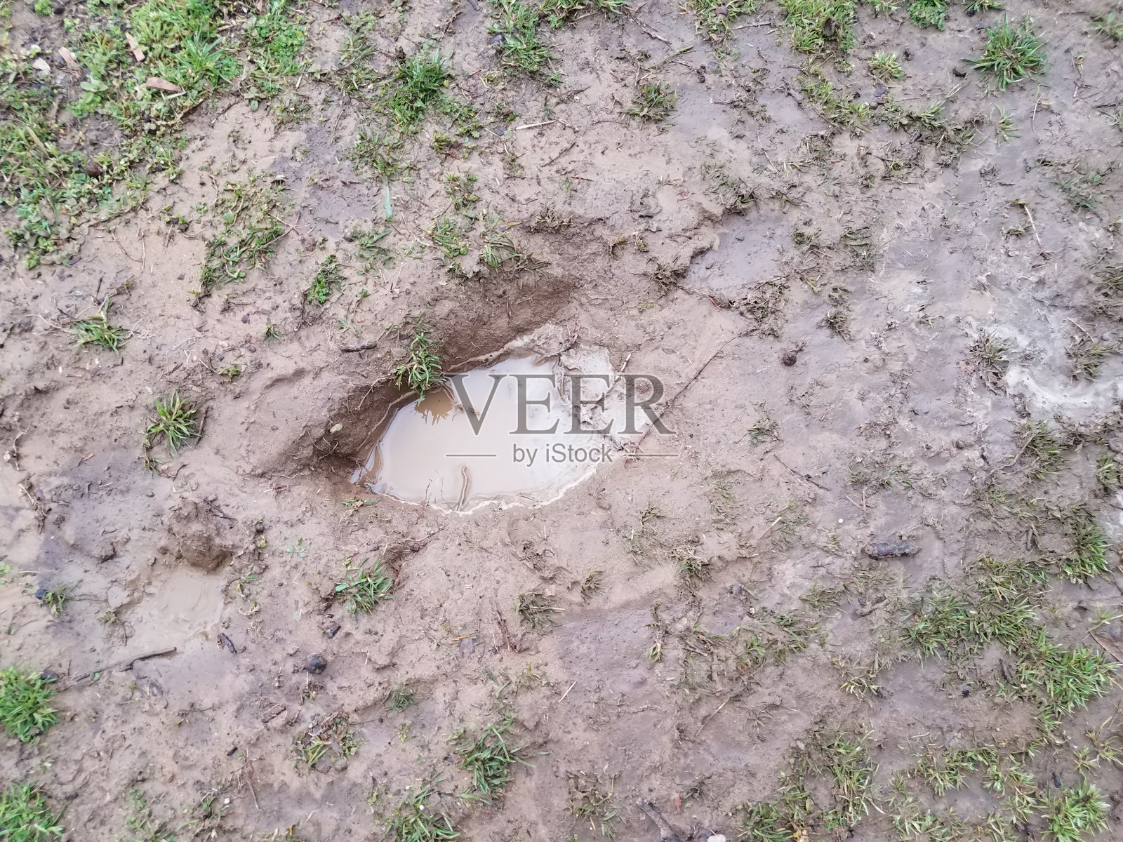 洞里有泥泞的水，泥和草照片摄影图片