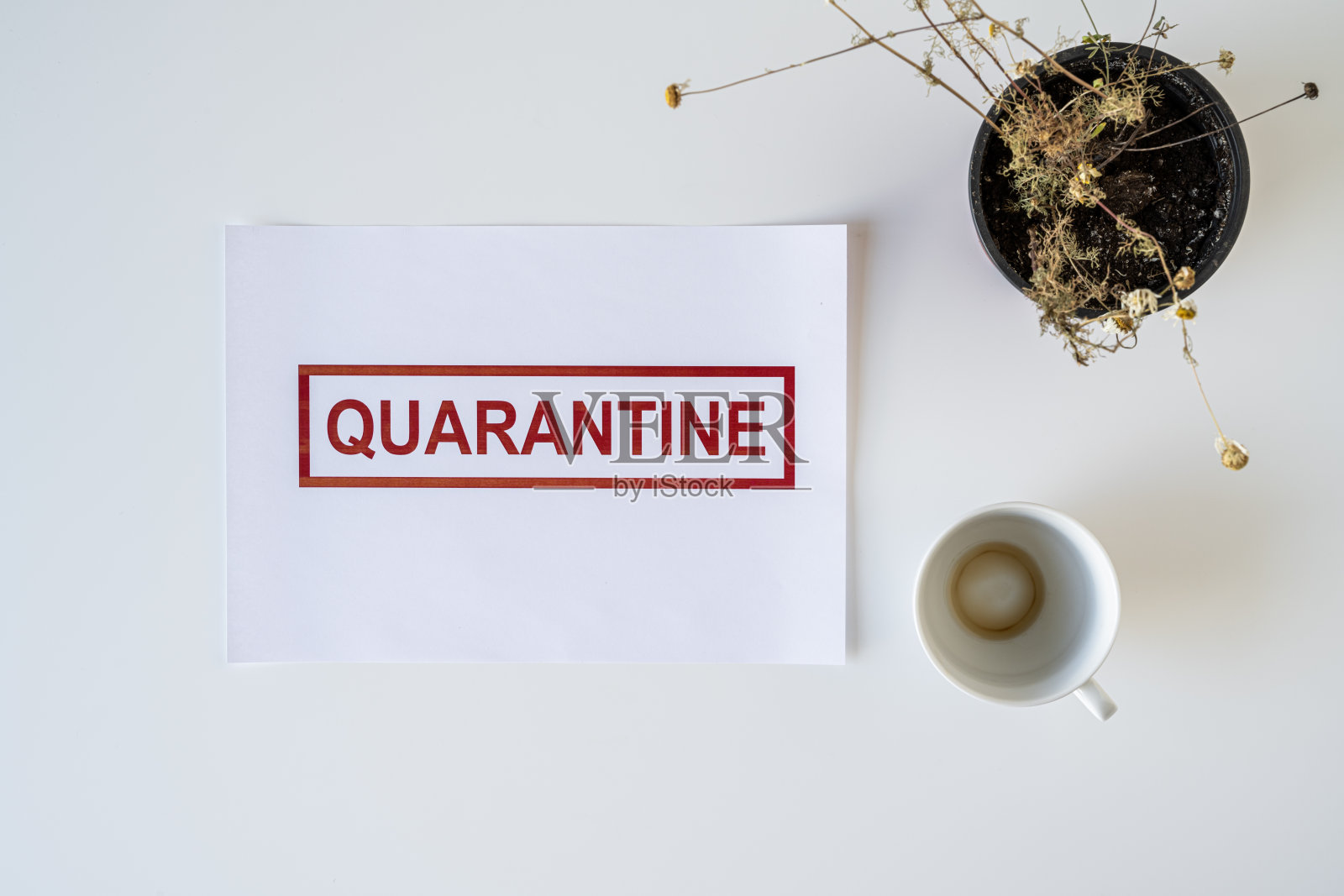 “检疫”二字写在一张纸上，上面放着干花。在世界范围内照片摄影图片