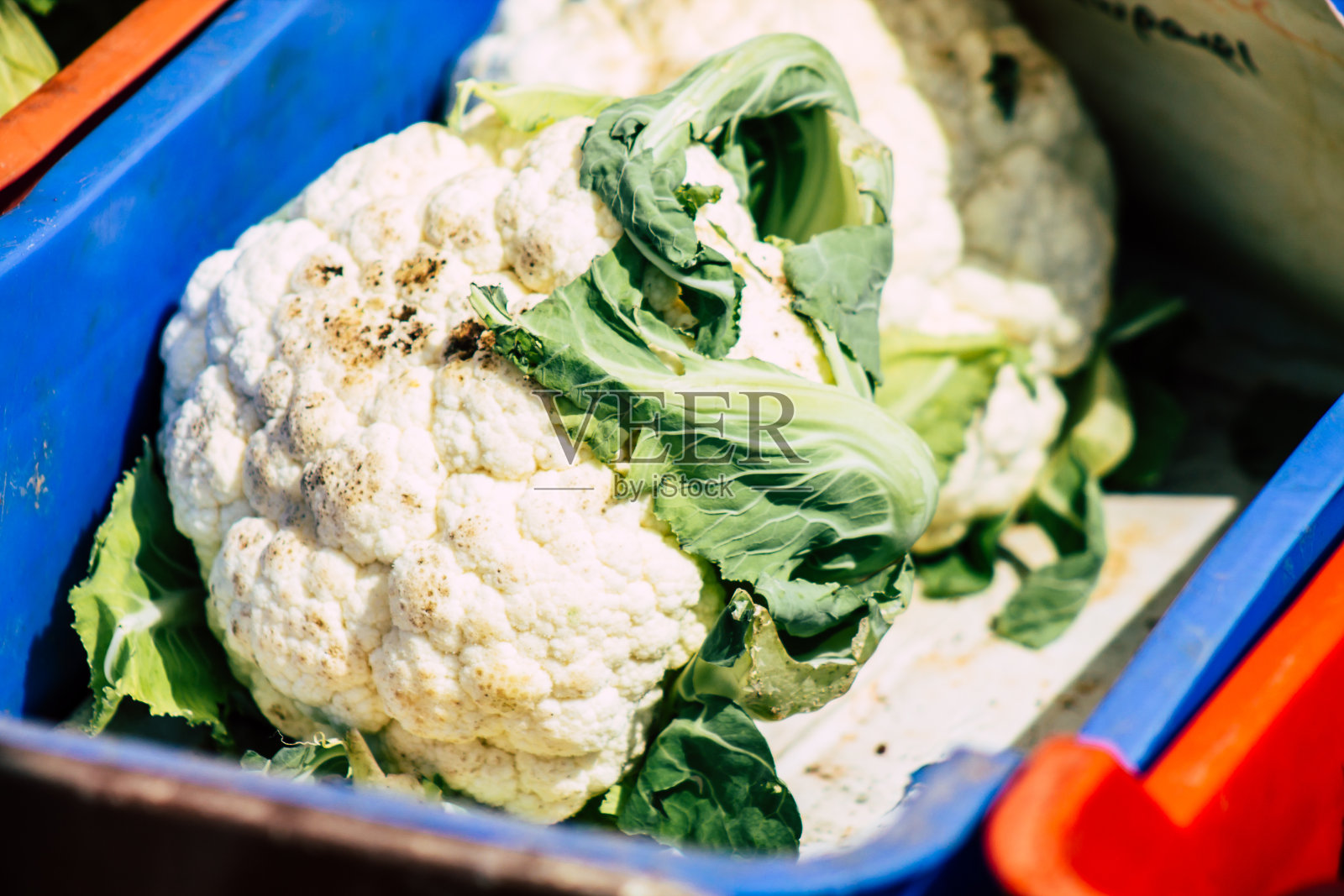 塞浦路斯的颜色照片摄影图片