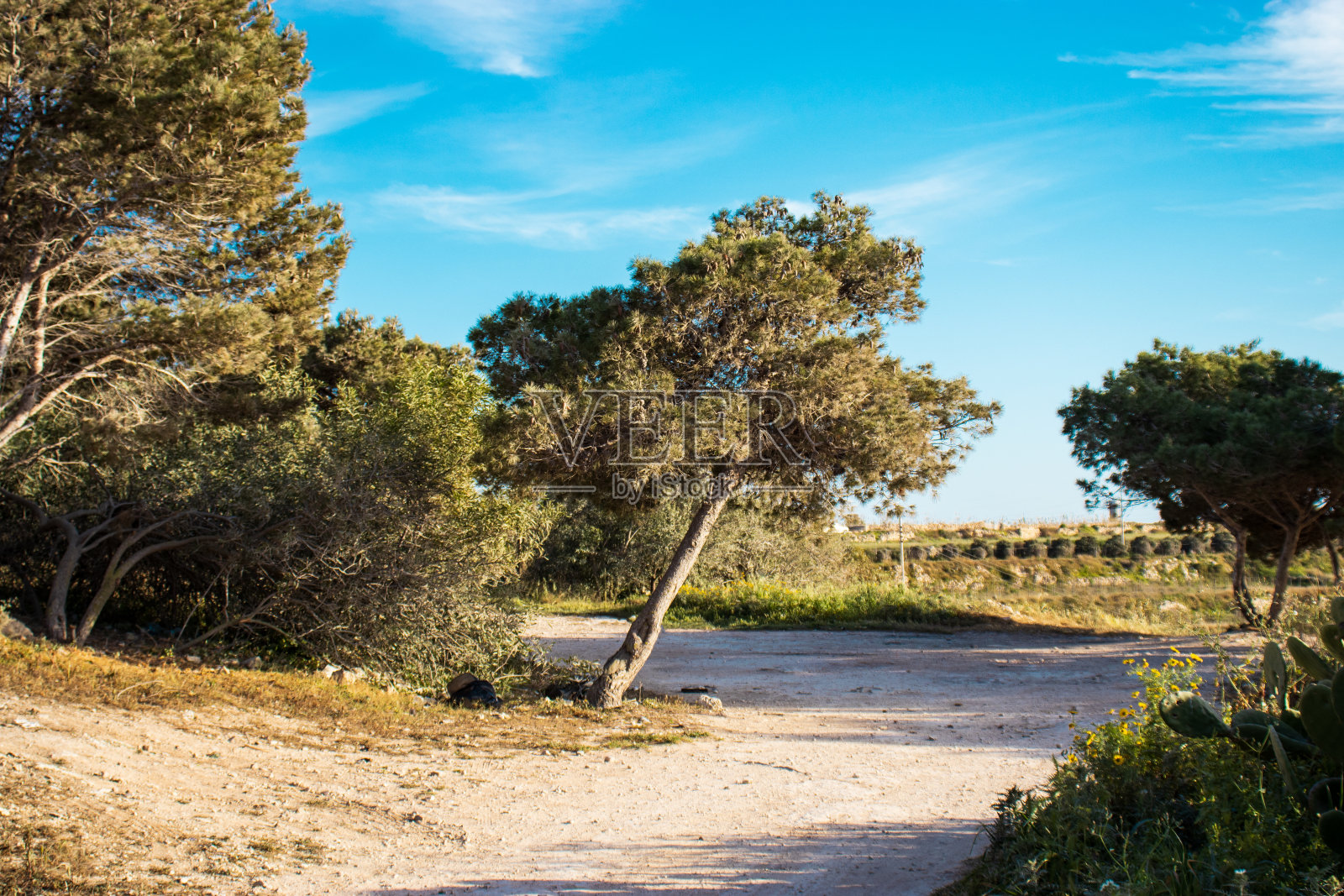 伍兹在马耳他。在大自然中放松的好地方照片摄影图片
