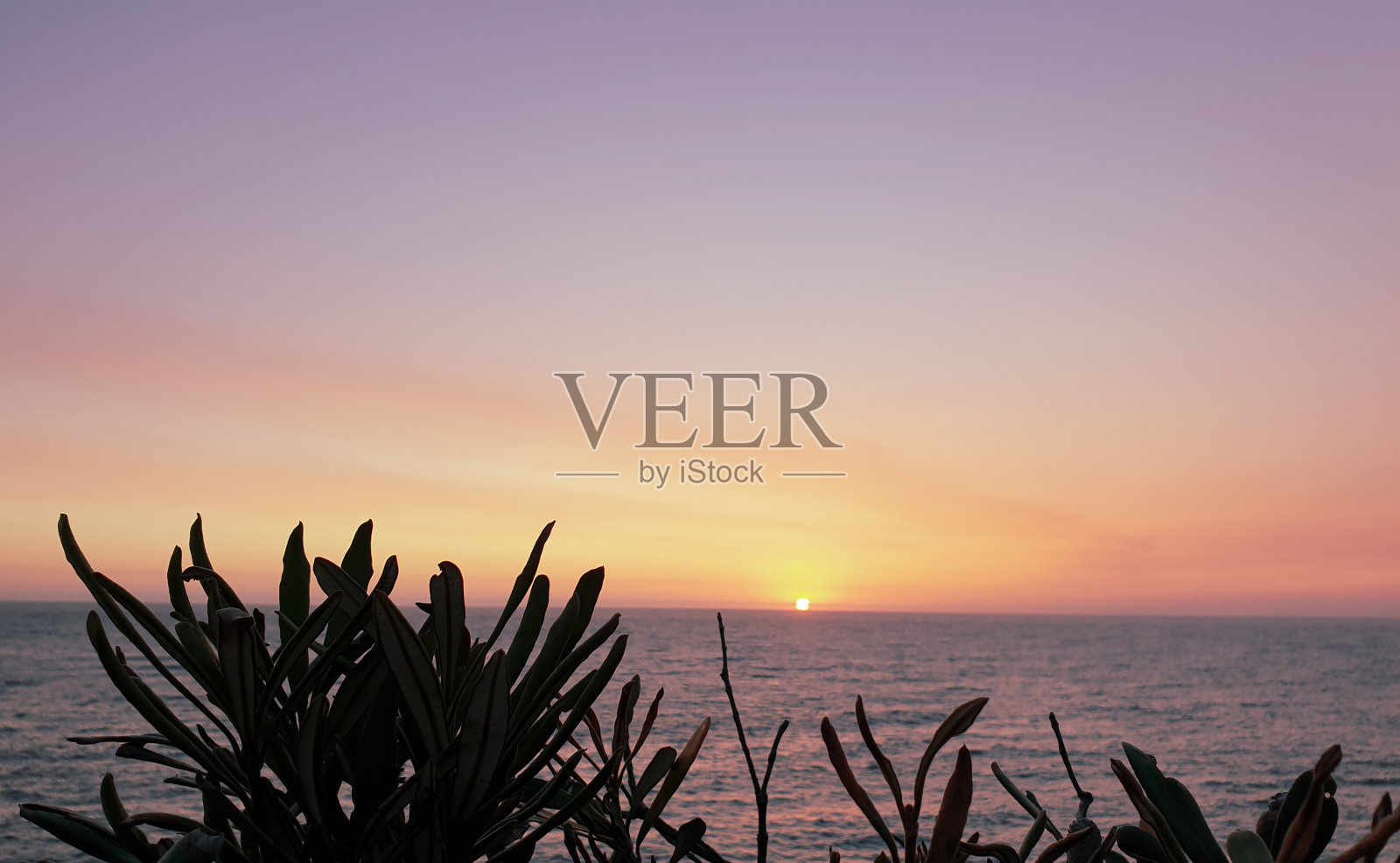 Maroubra日出照片摄影图片