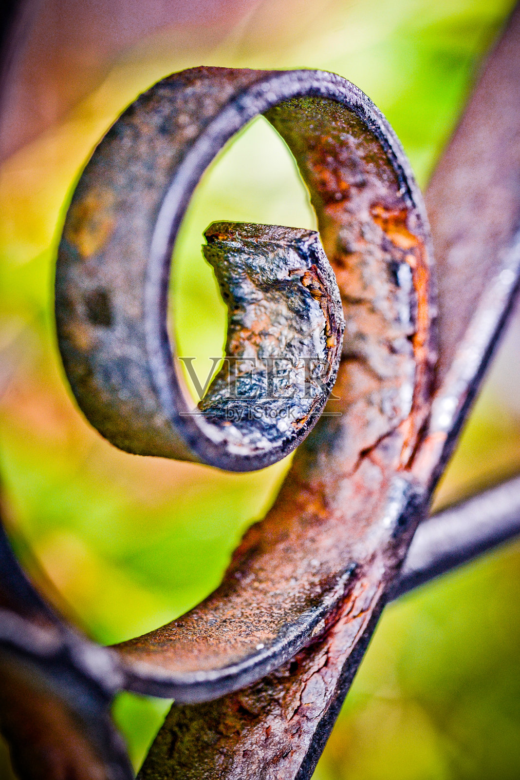 九个照片摄影图片