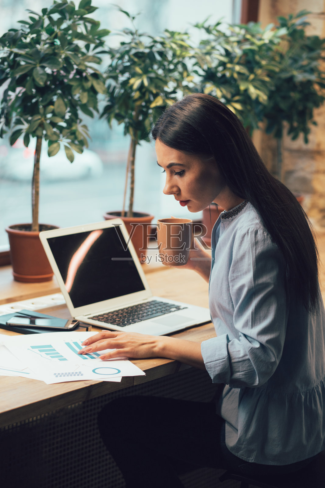 专注的女人处理图表素材照片照片摄影图片