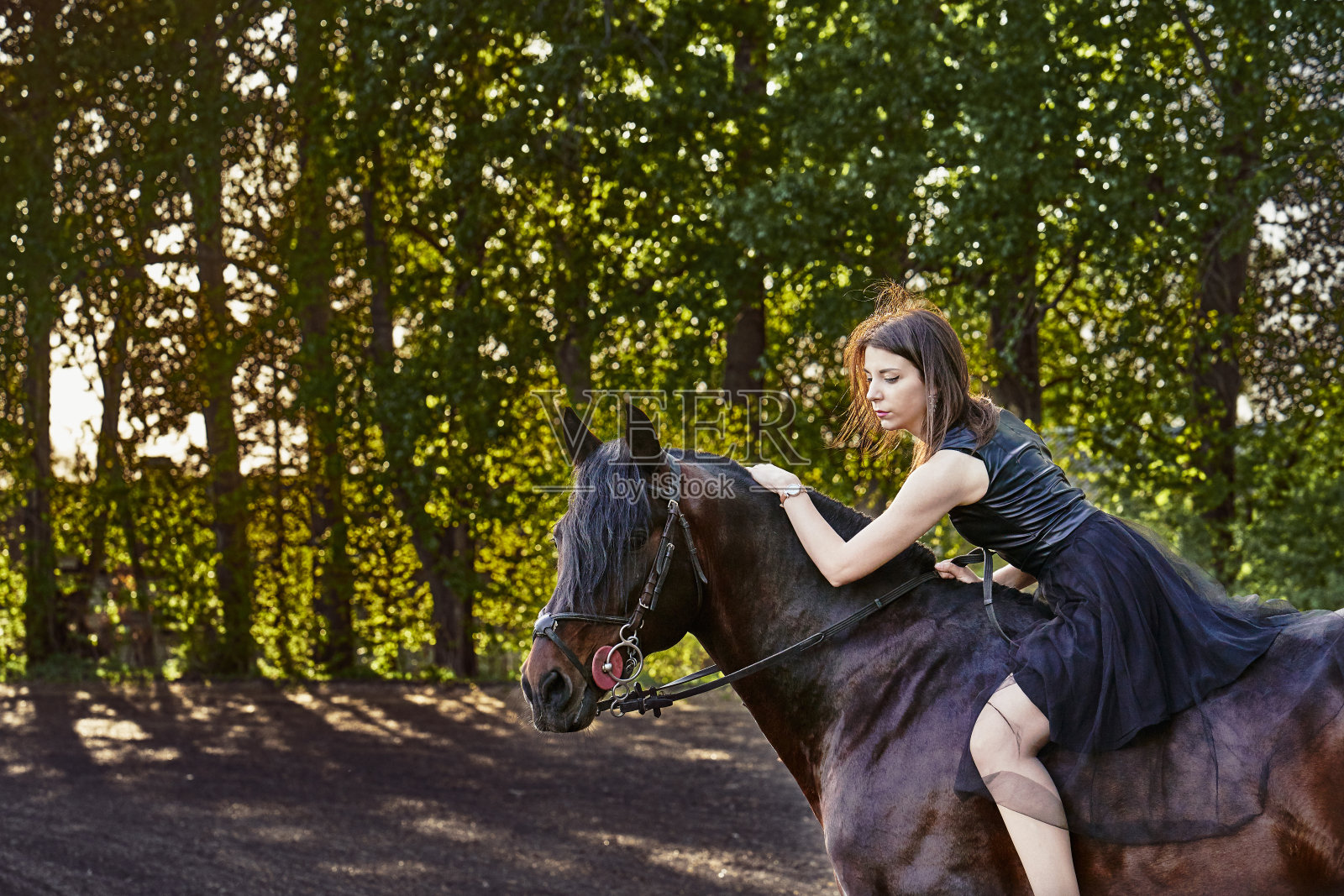 年轻苗条的黑发女人穿着黑色连衣裙坐在深棕色马背上。阳光明媚的夏日傍晚。特写。照片摄影图片