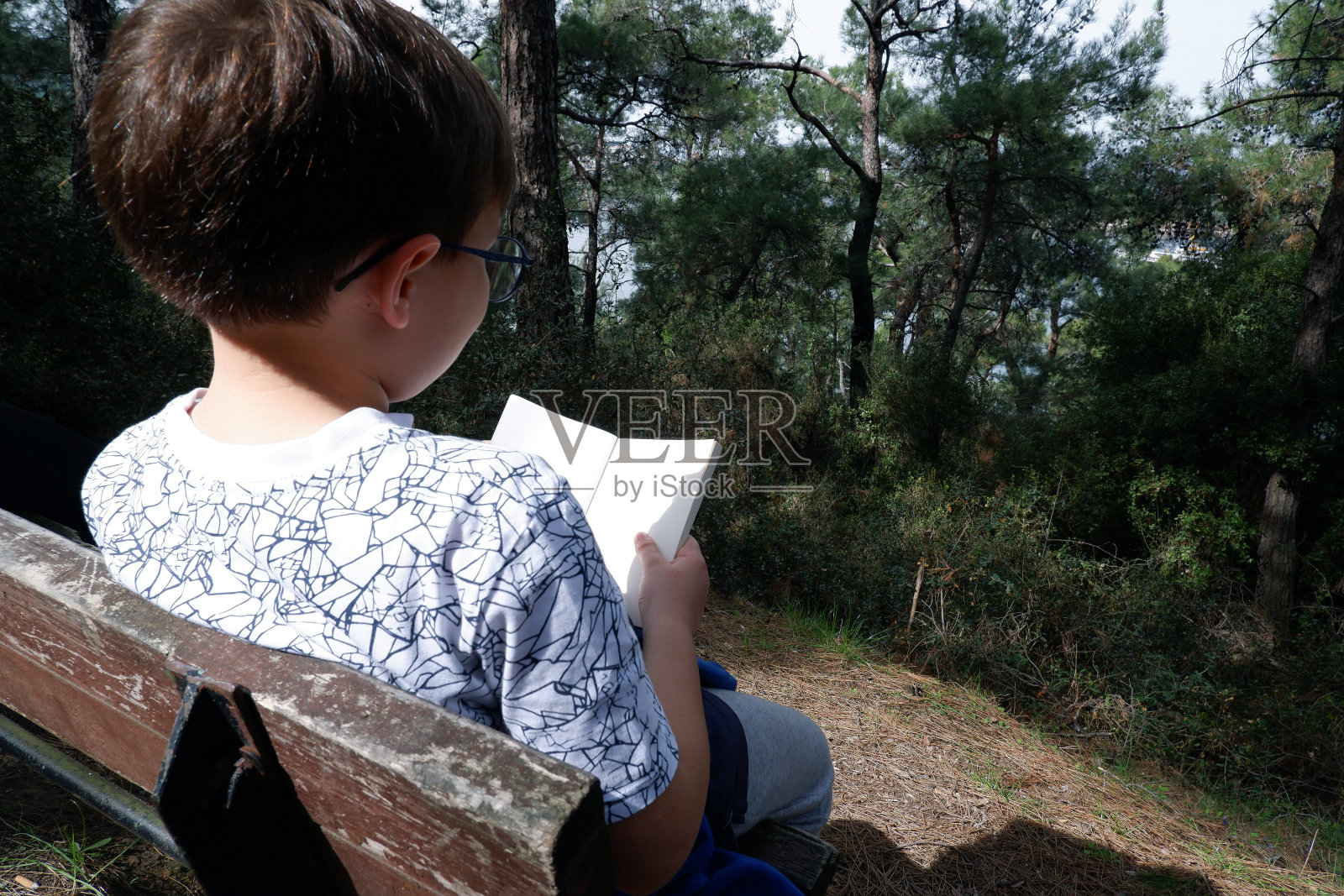 一个九岁的白人男孩坐在森林里的长凳上看书。照片摄影图片