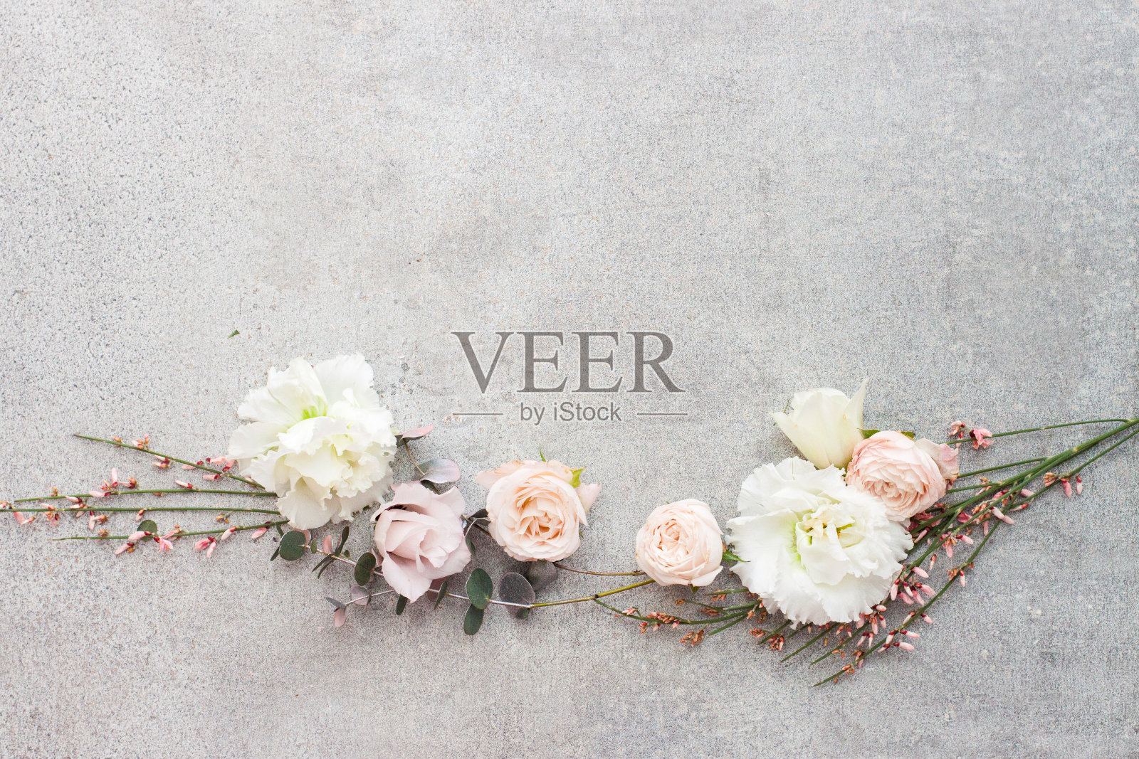 温柔的春花在灰色的背景上，复制空间。照片摄影图片