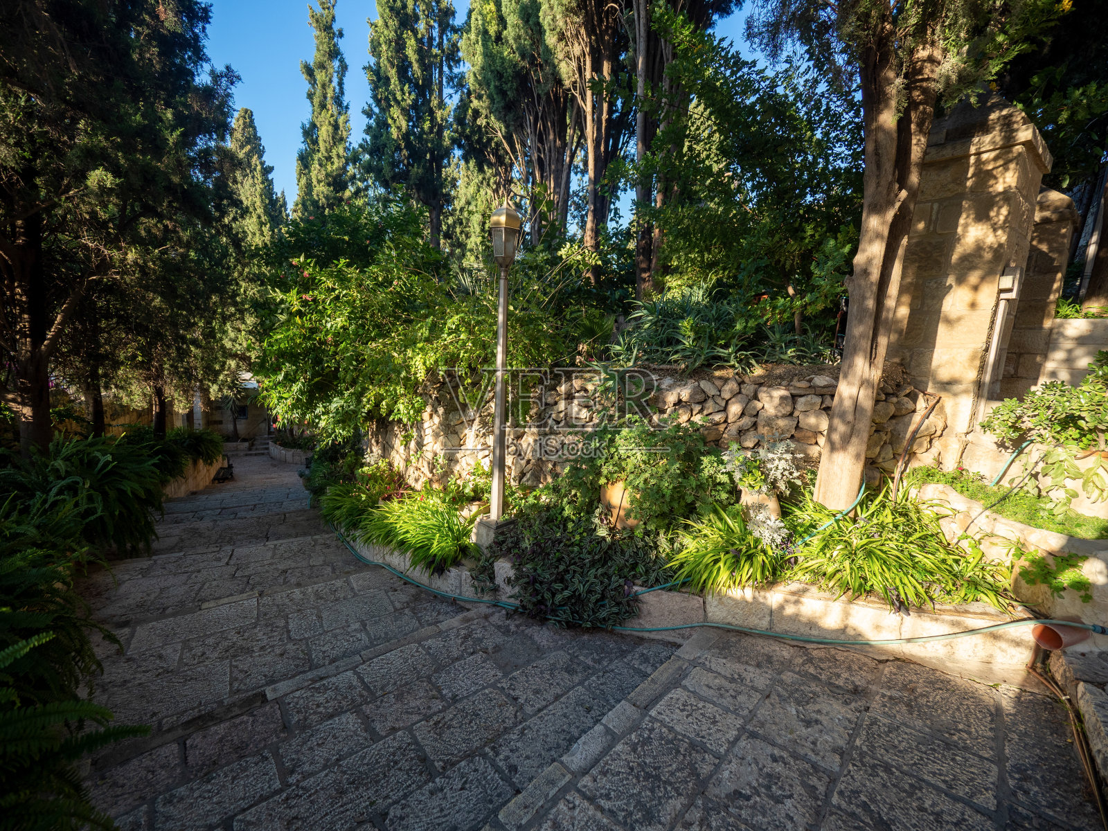 耶路撒冷抹大拉的玛丽亚教堂的院子照片摄影图片