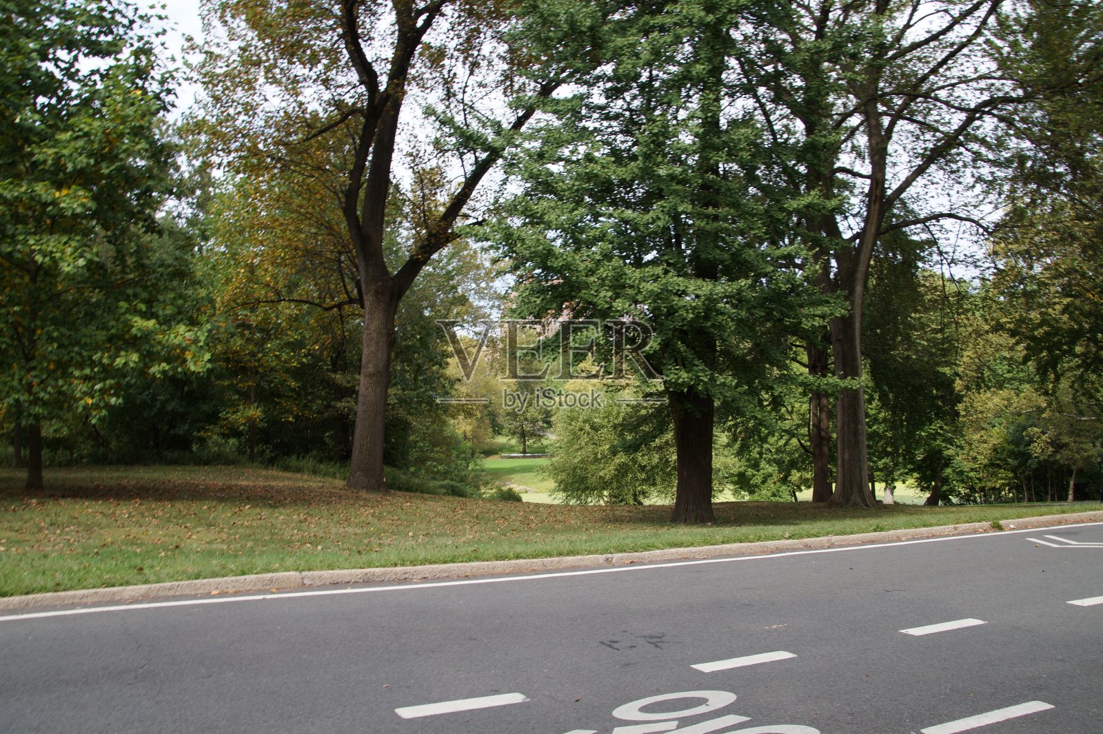 纽约的中央公园照片摄影图片