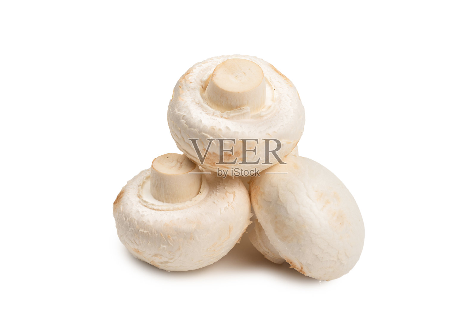 隔离在白色背景上的香槟蘑菇。照片摄影图片