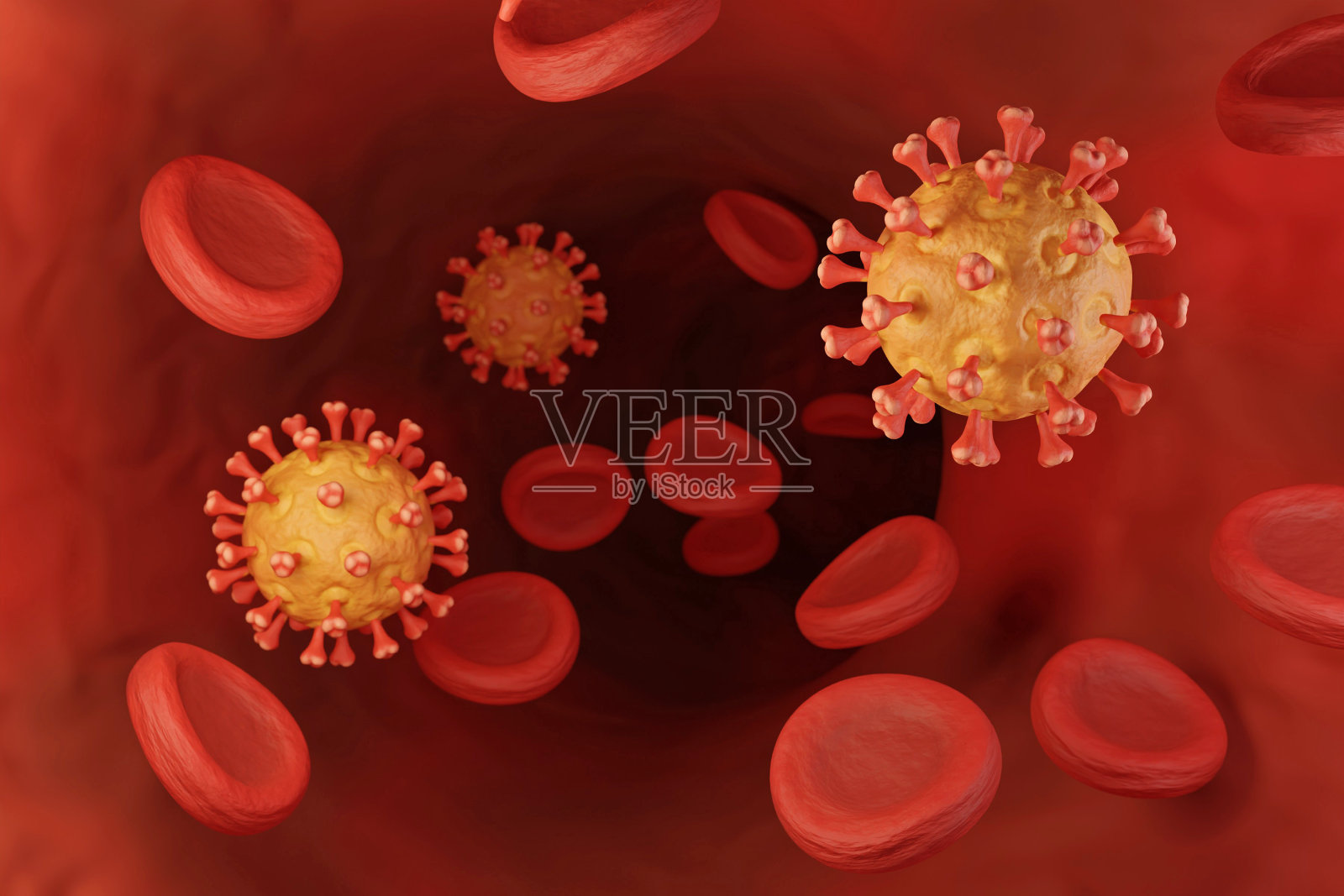 病毒和血细胞说明照片摄影图片