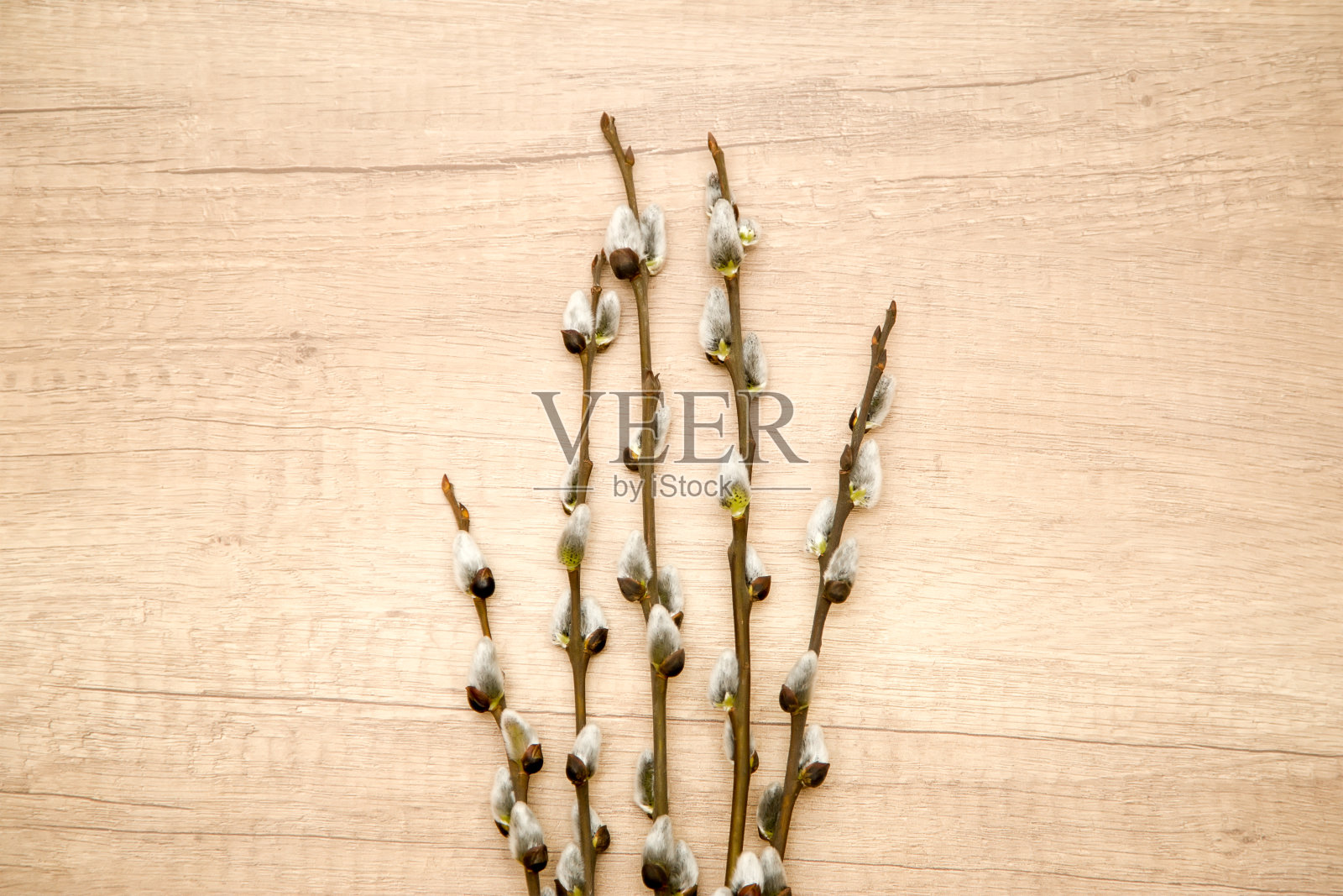 木背景上的柳枝照片摄影图片