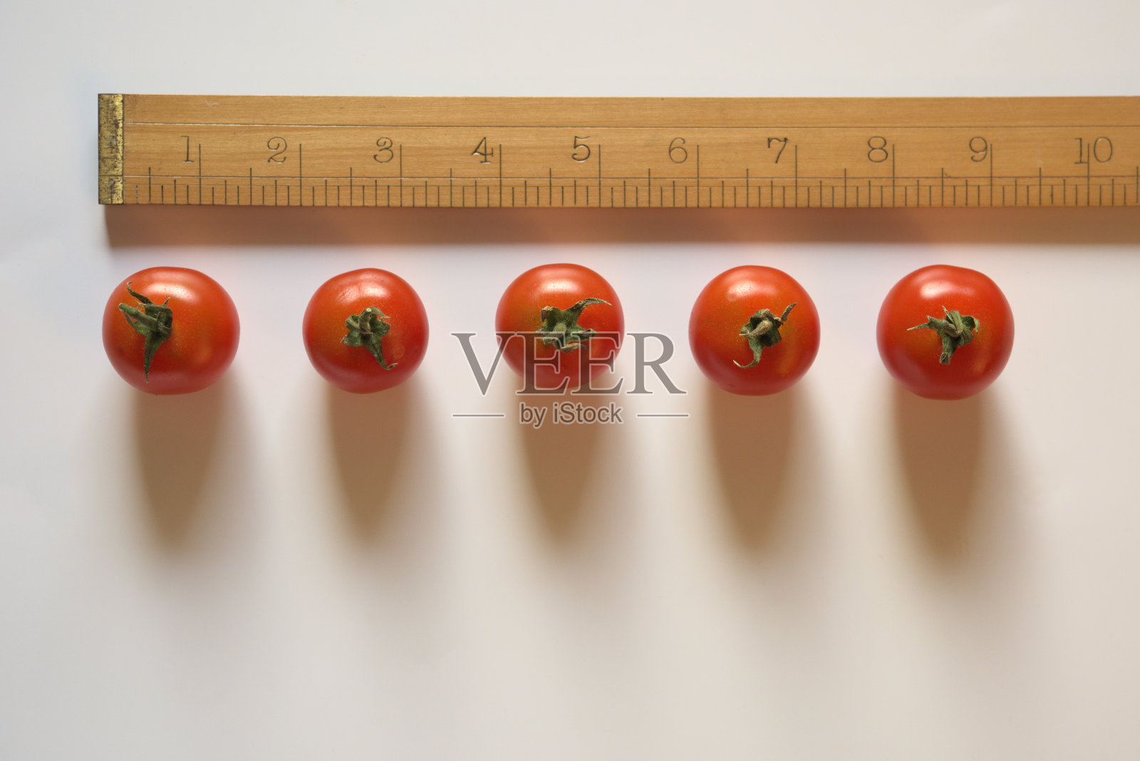 一排番茄的社交距离照片摄影图片