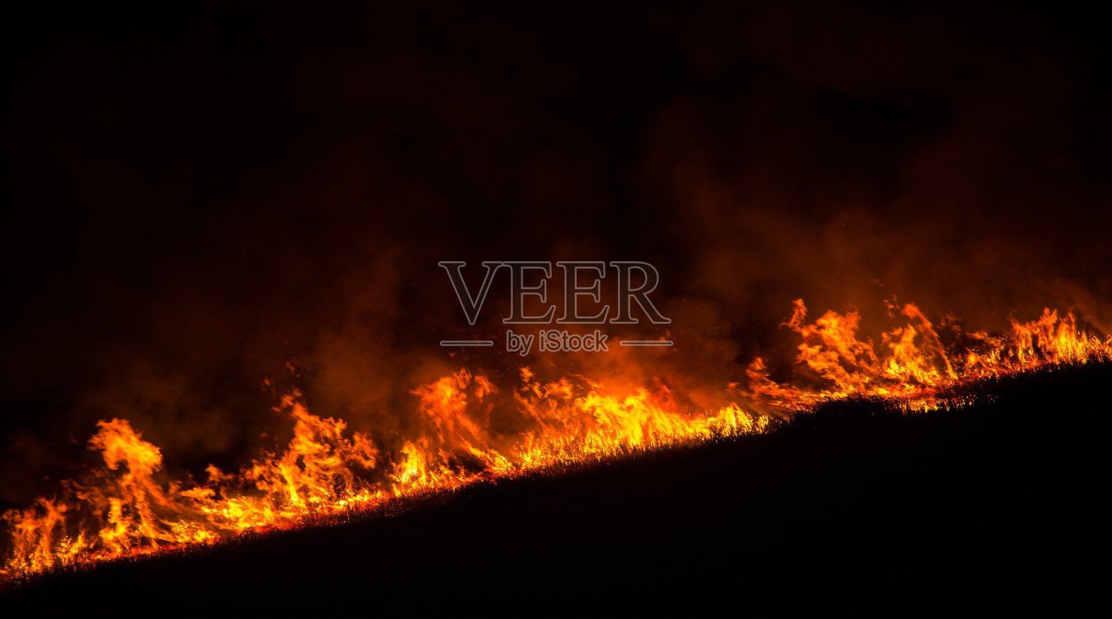旱地野火照片摄影图片