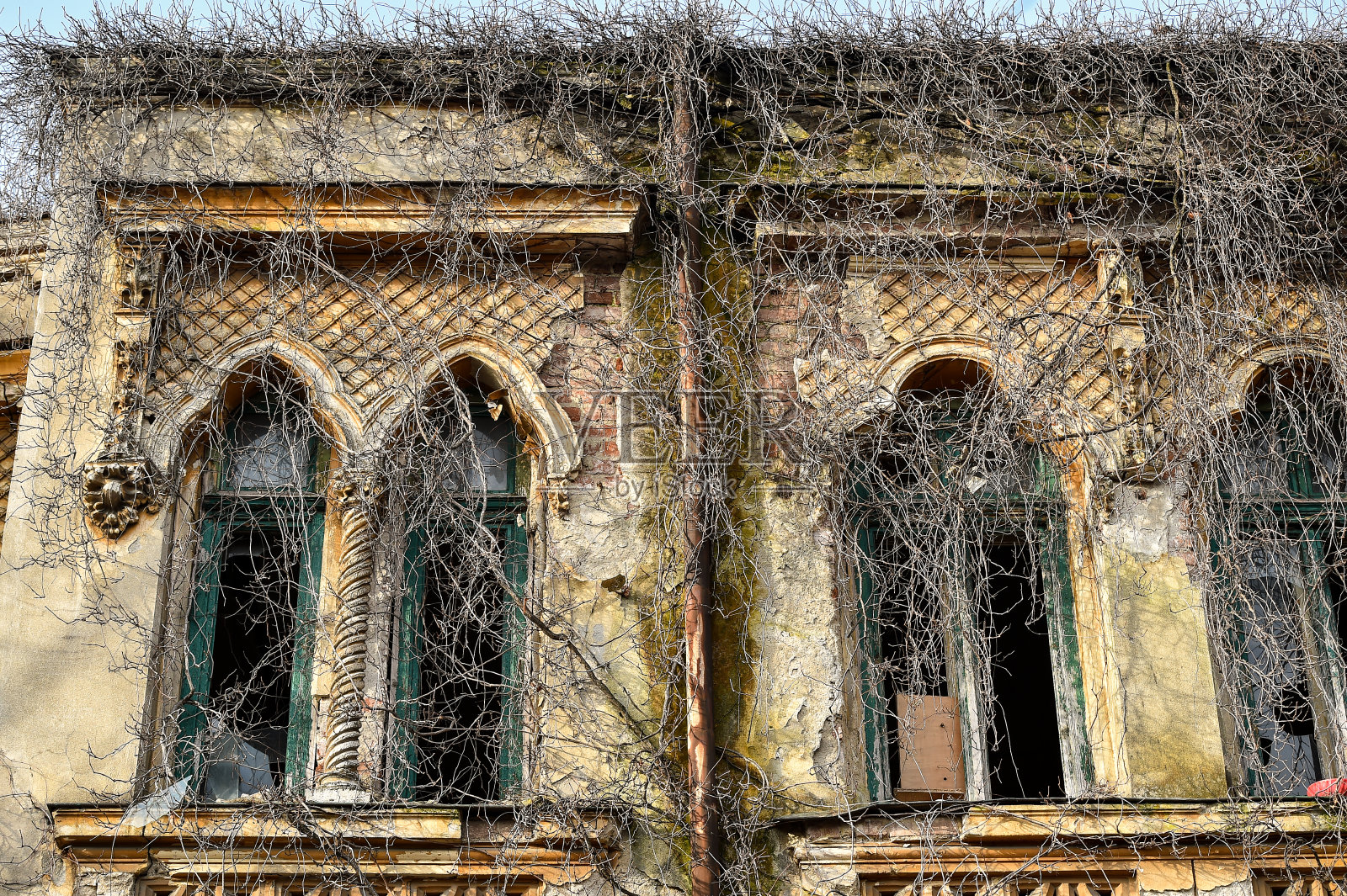 在秋季，废弃的老房子外立面覆盖着干旱的常春藤和植被照片摄影图片